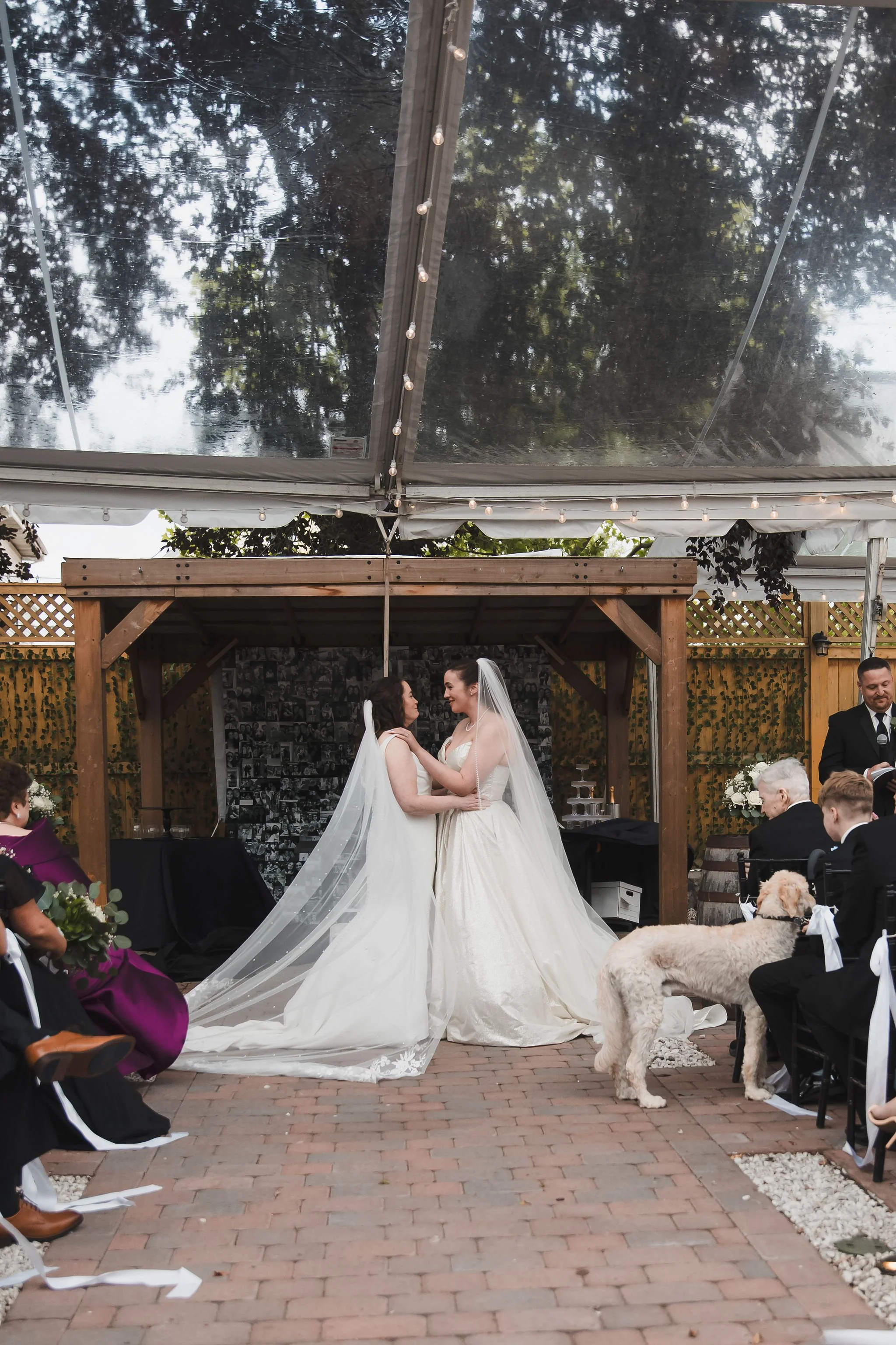 ShannonKaileen-Wedding-412.jpg