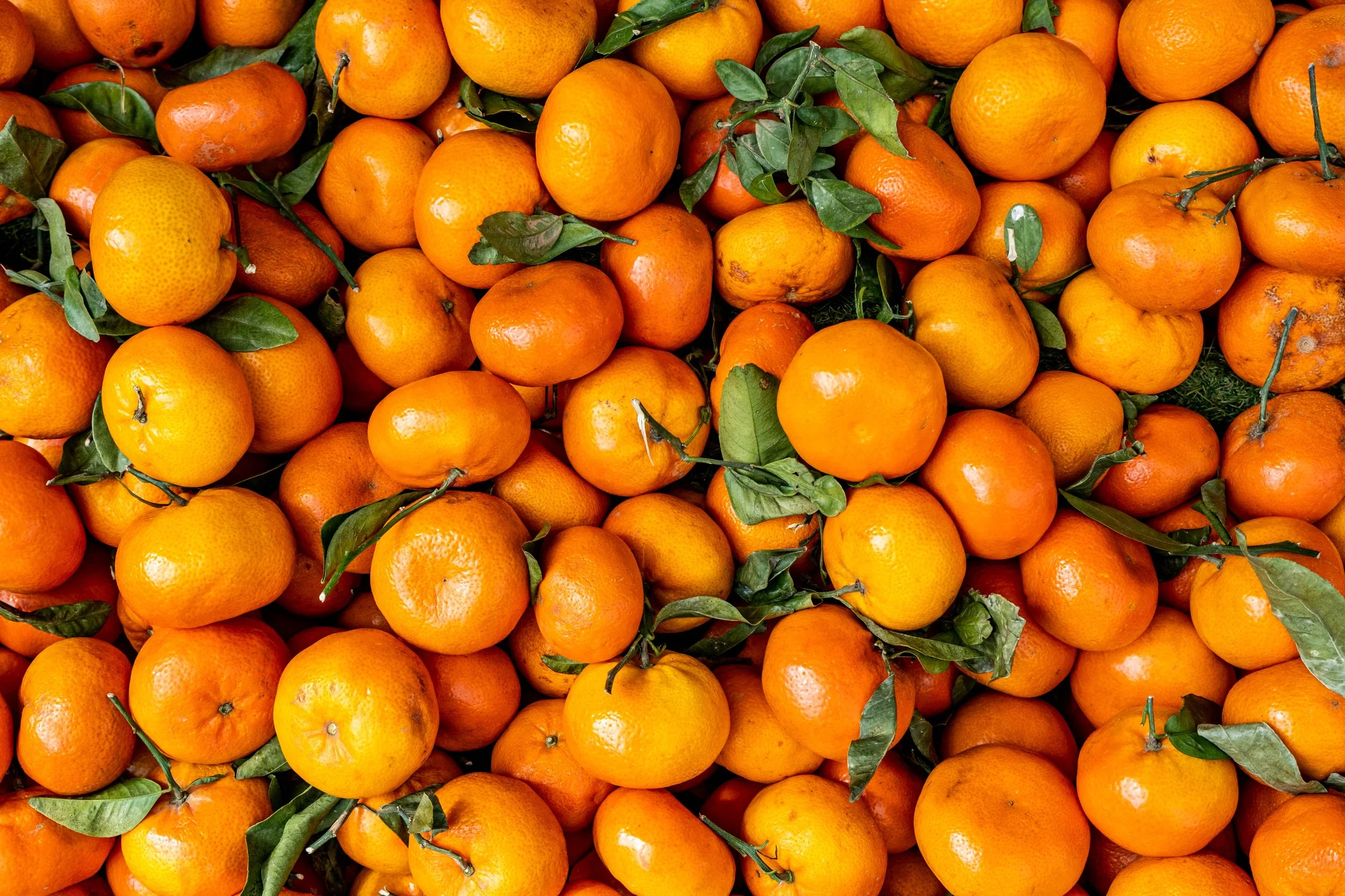 Communing with Clementines