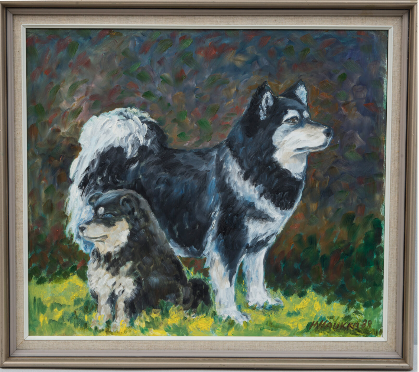 Finnish Lapphunds Tuppu and Natta