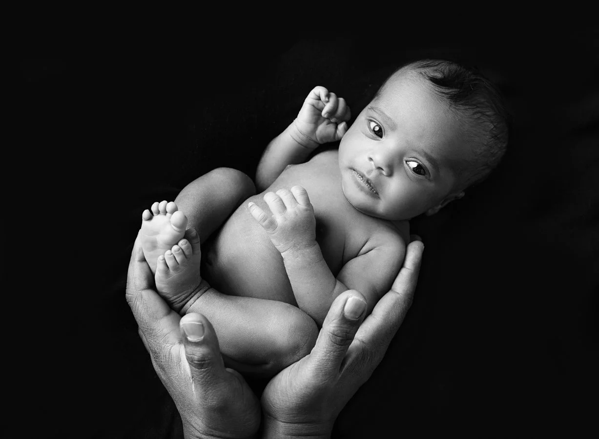hanna print size20220127_22.jpg