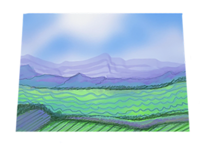 4.26.2027nc.png