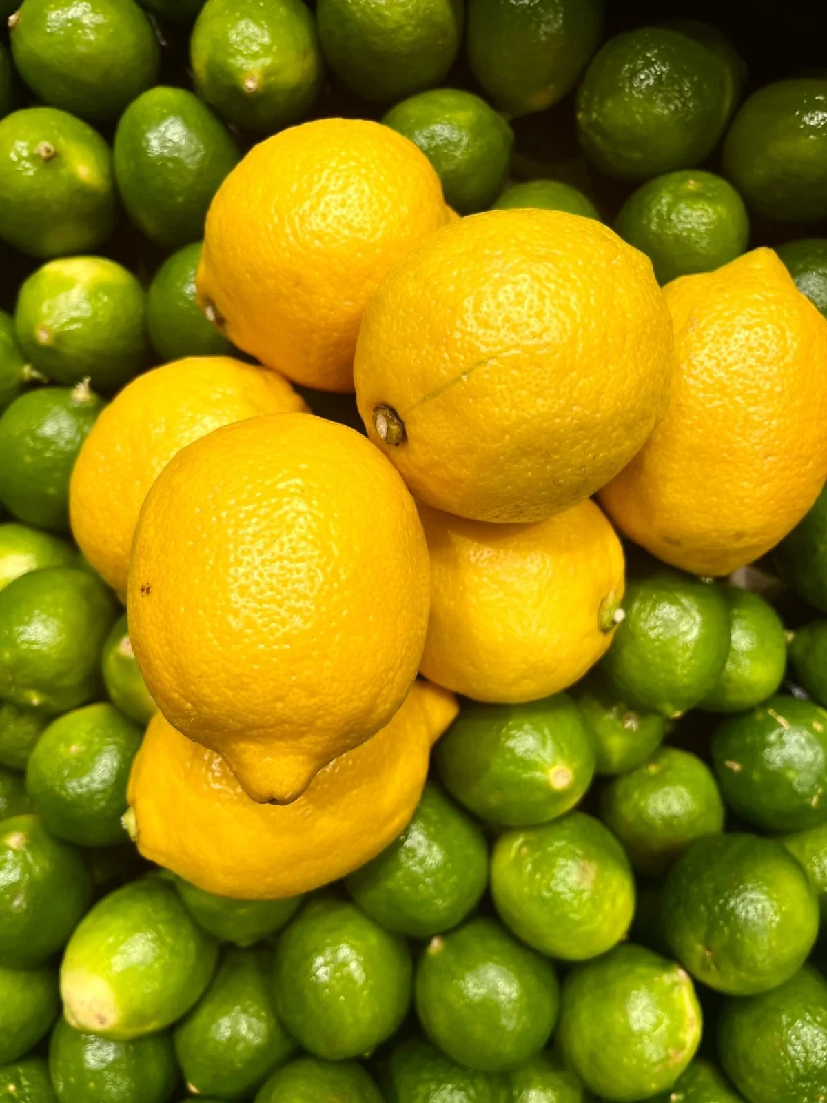 WhatsApp Image 2026-02-23 at 11.18.44 AM.jpeg