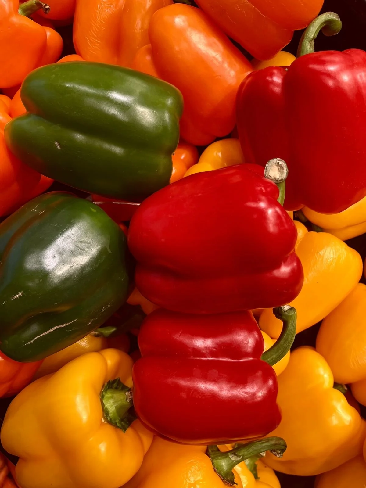 WhatsApp Image 2026-02-23 at 11.18.42 AM.jpeg