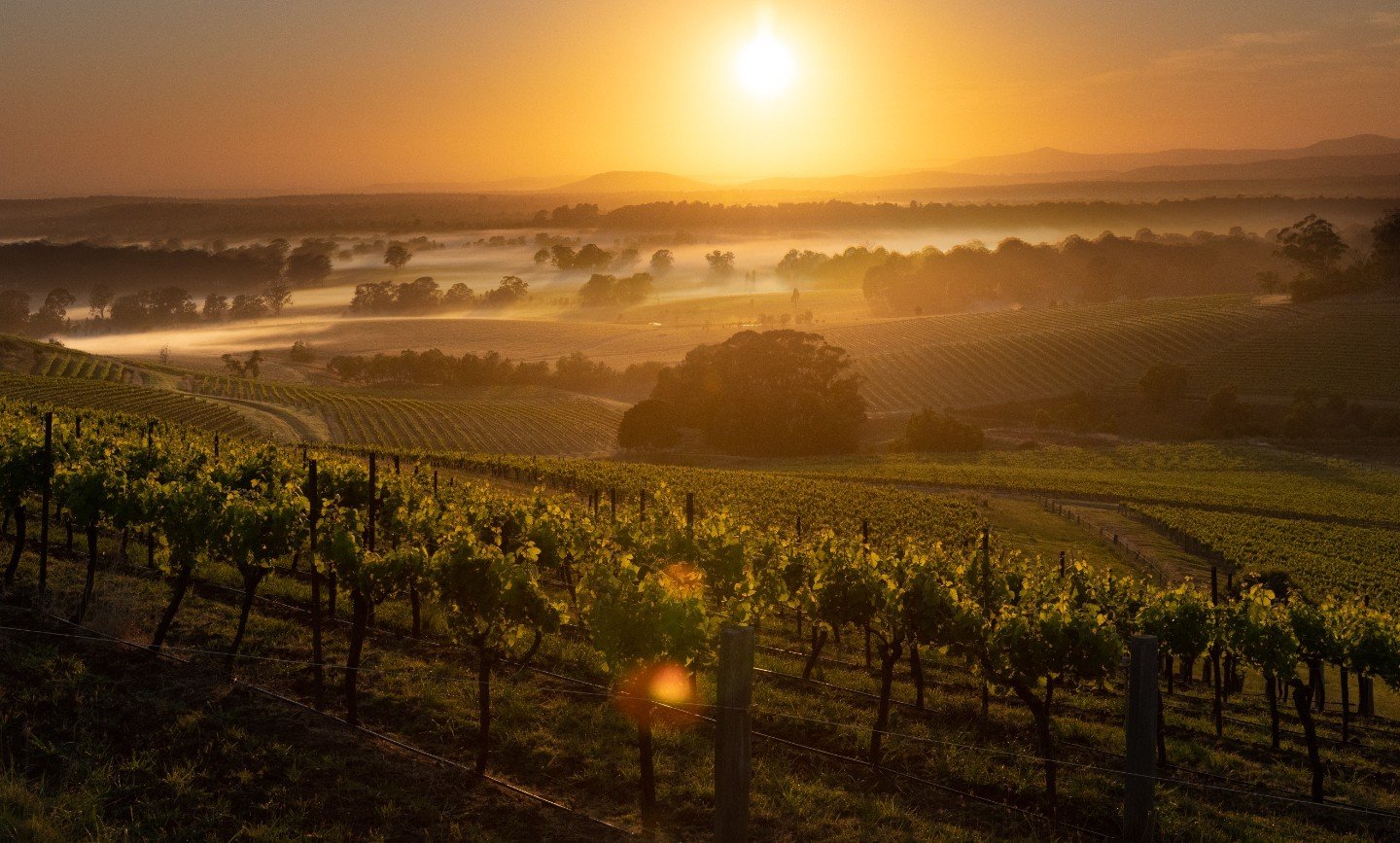 Did you know that in 2028, the Hunter Valley will celebrate 200 years of winemaking and grape growing as Australia's oldest wine region?

The Hunter River Vineyard Association was established in 1847, nineteen years after the first vineyard plantings