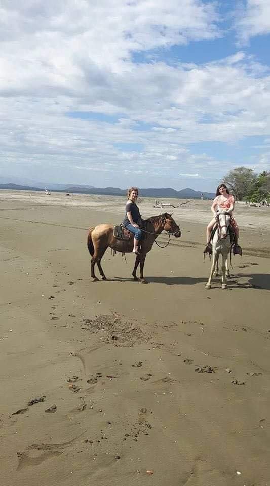 Horseback Riding