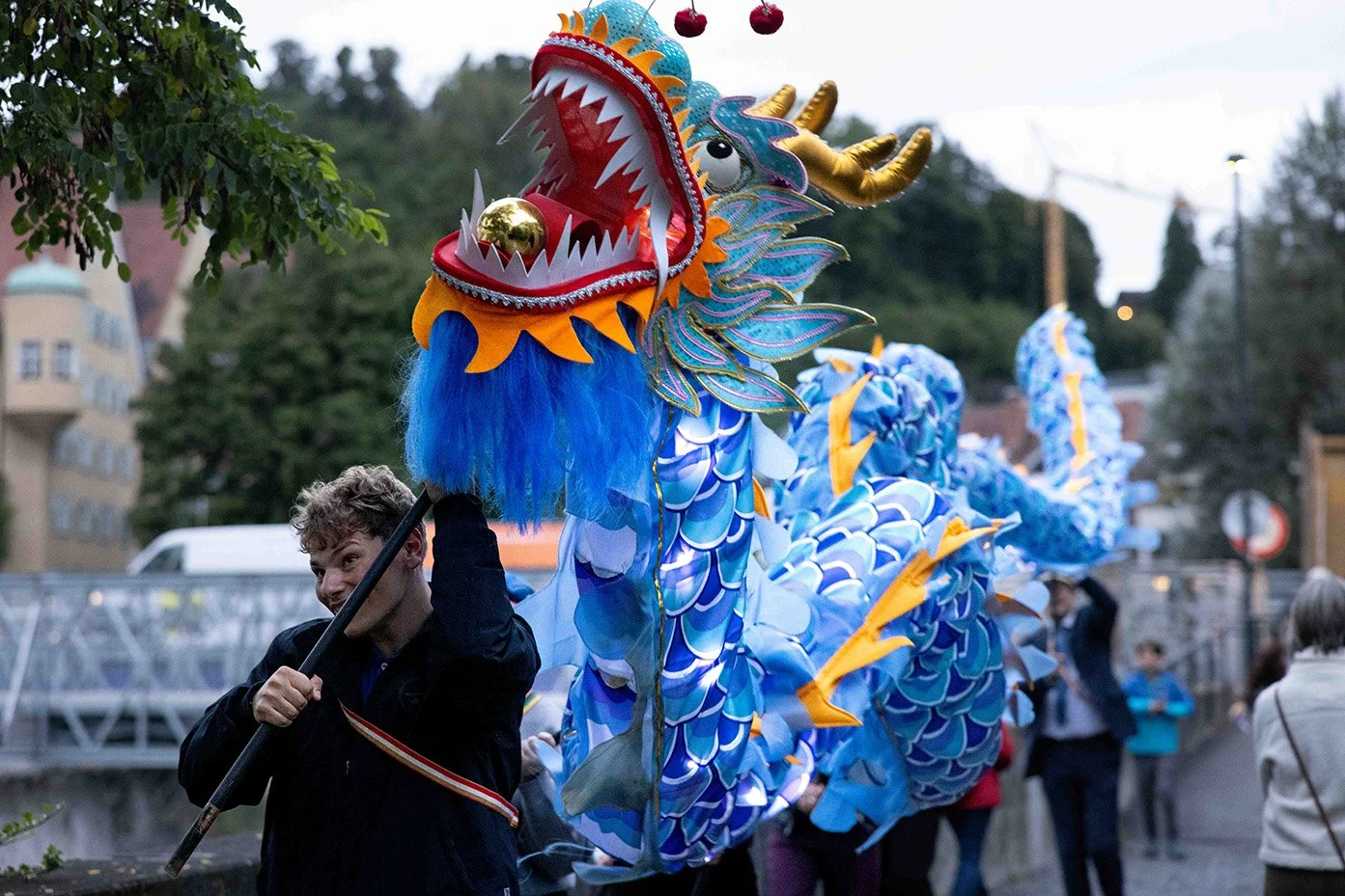 Feldkircher Luft_Fotos_Vorstellung_Klein-107.jpg
