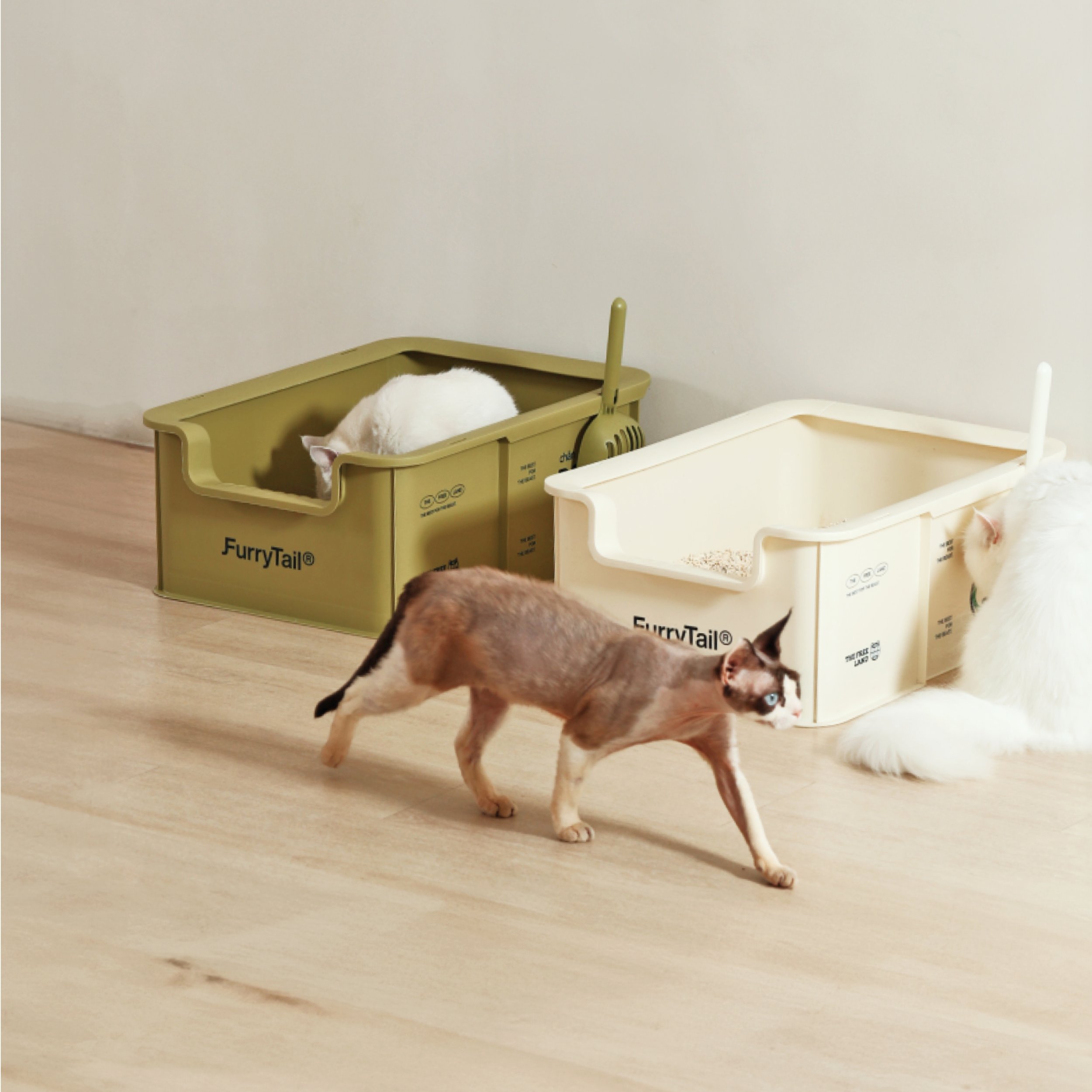Designing a Pet Supply Brand