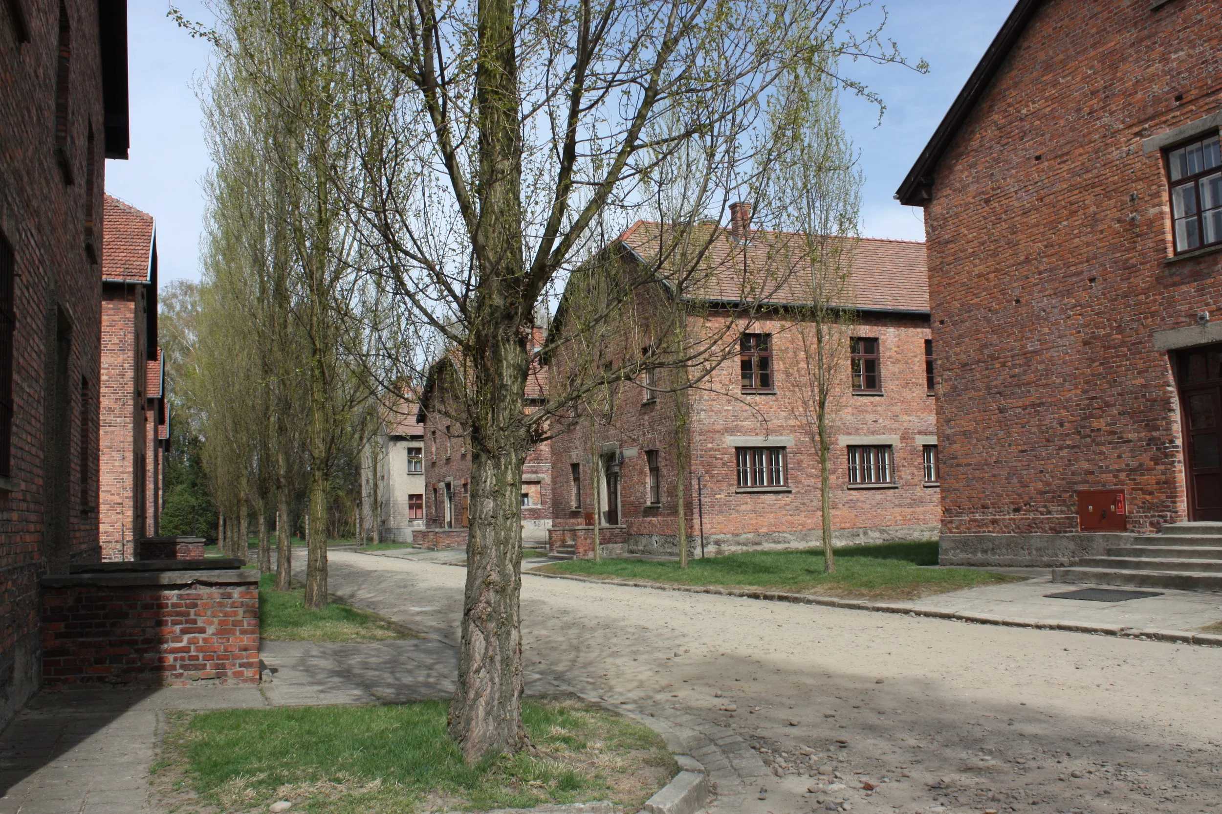IMG_8989.JPG