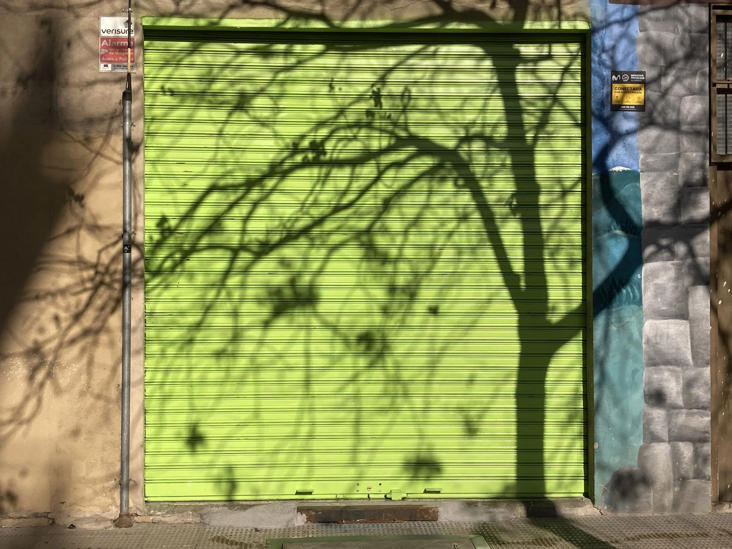 IMG_2401.jpeg