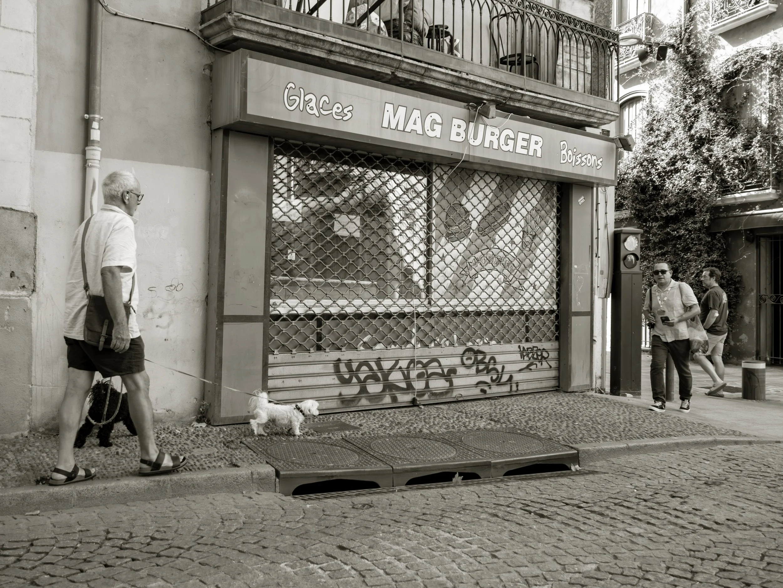 P1002972.2.jpg