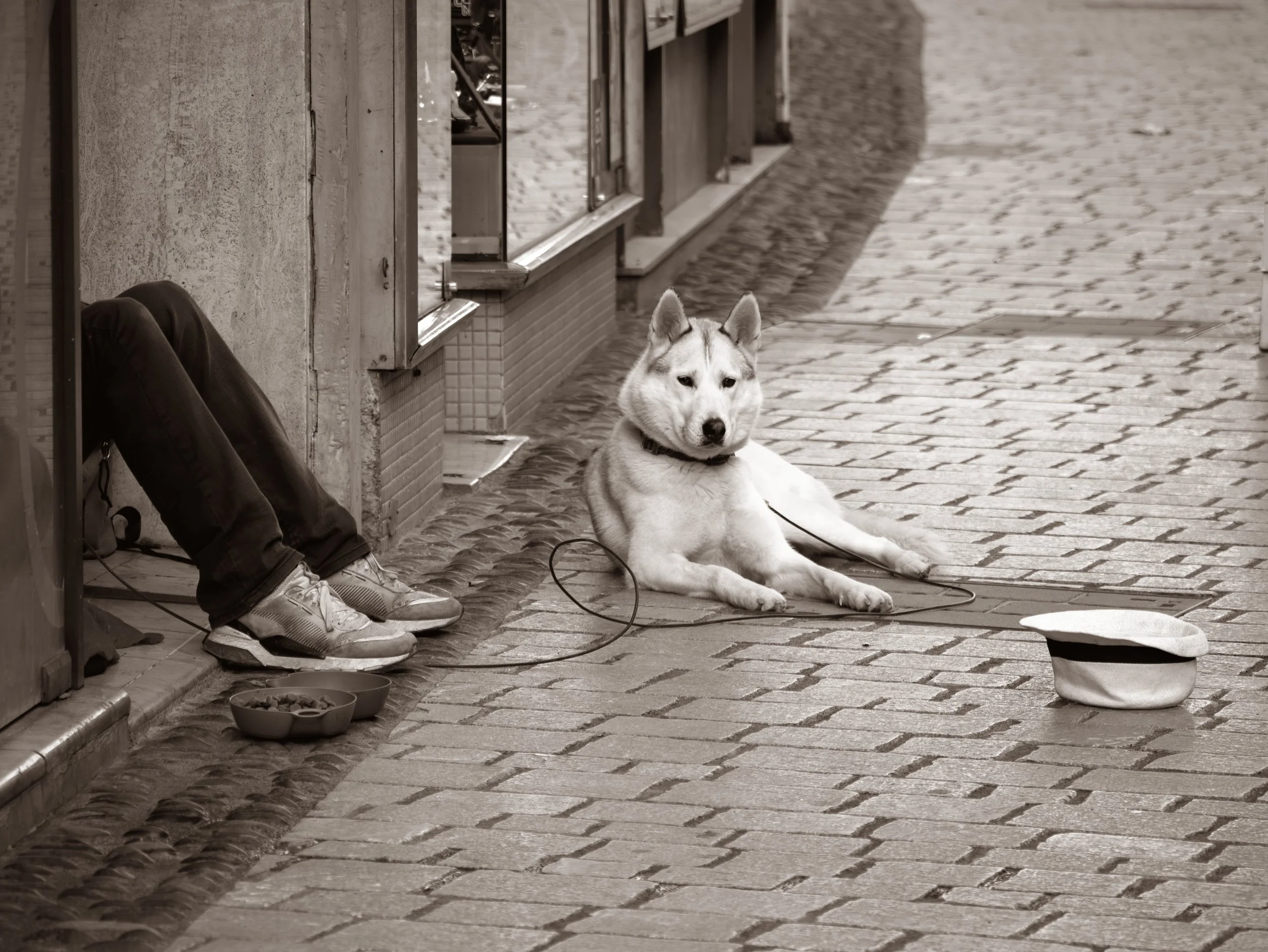 Survivre dans la rue