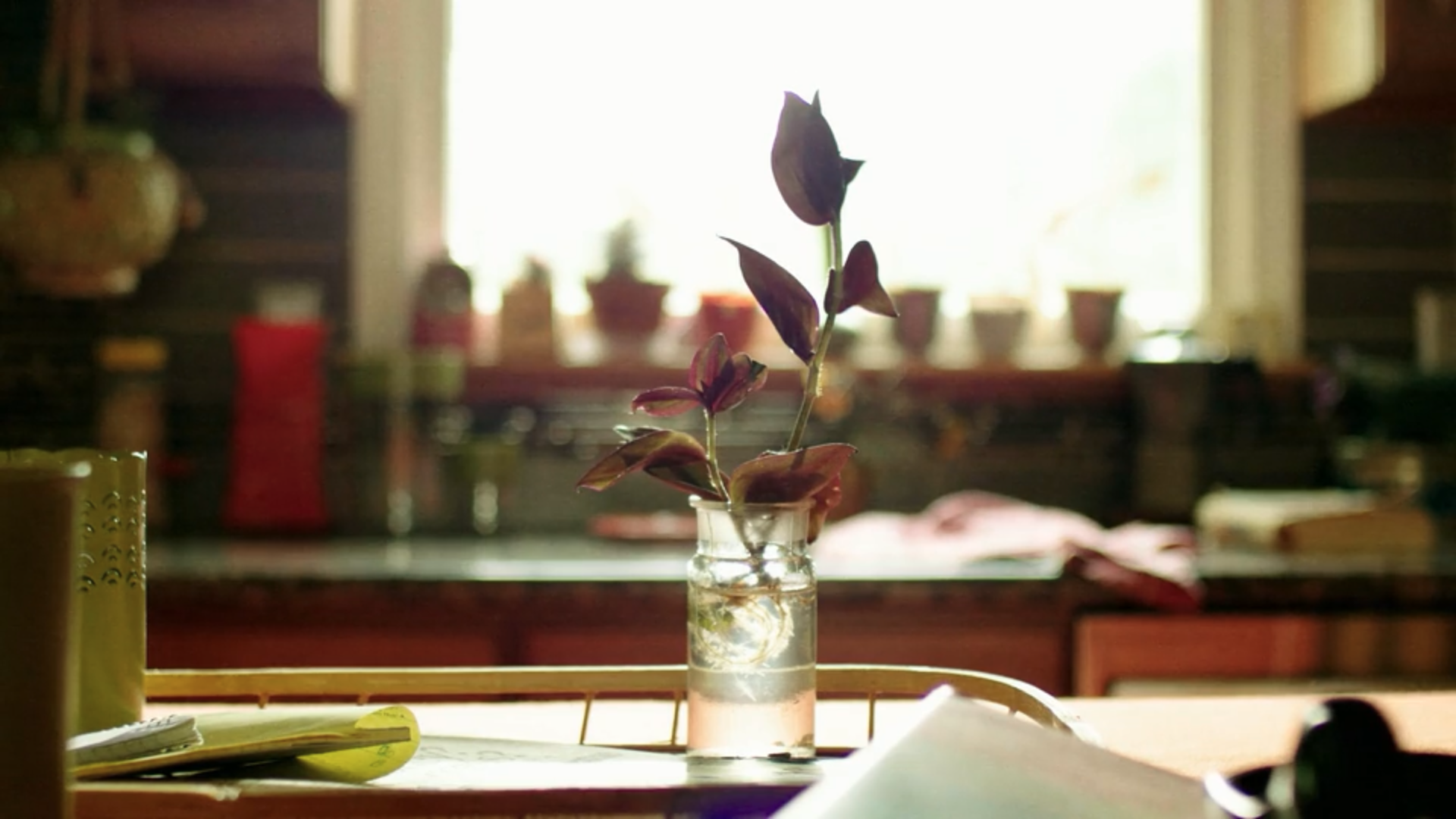 Screen Shot 2022-03-23 at 11.29.01 PM.png