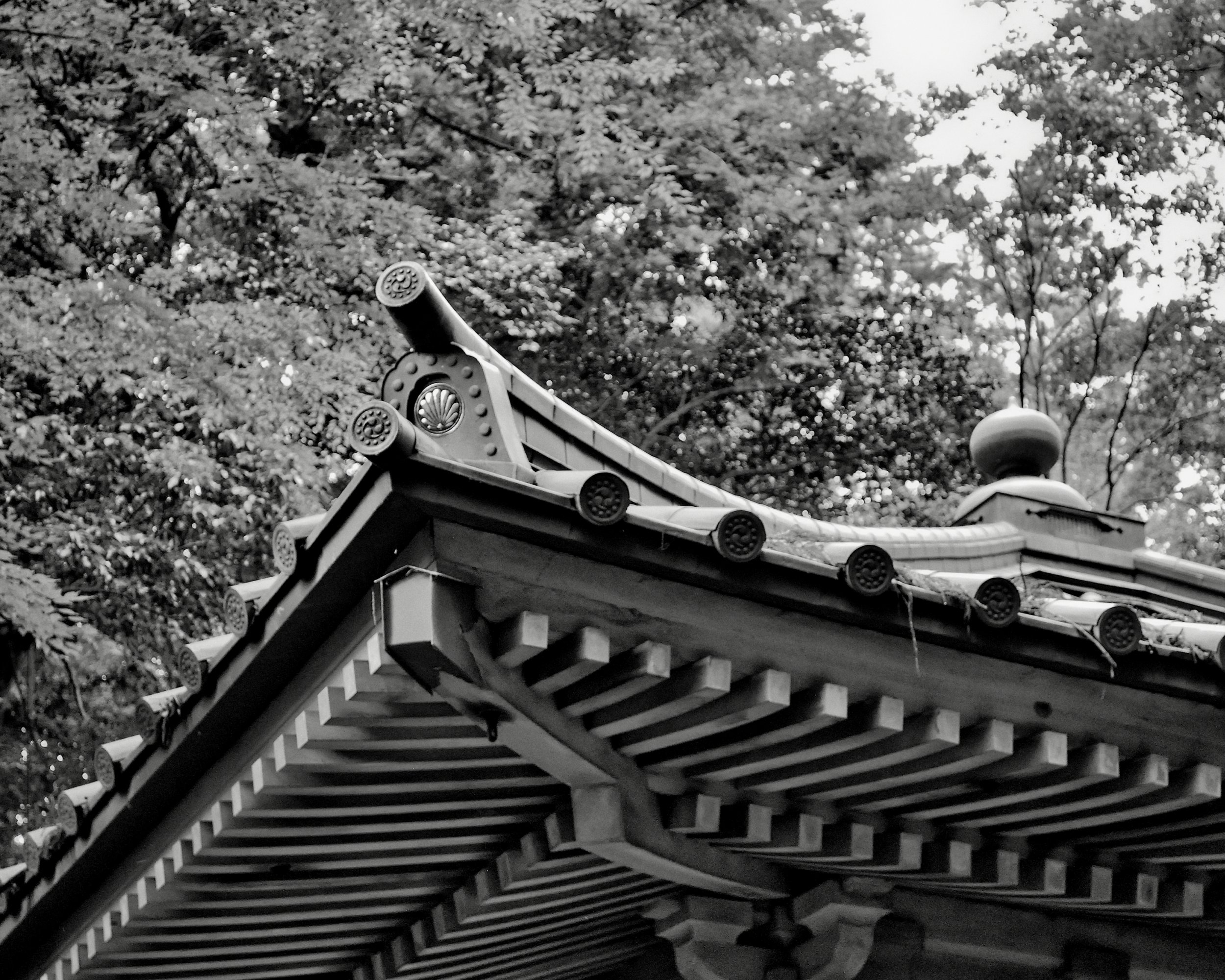 20190715 - 74_Nik_DxO.jpg