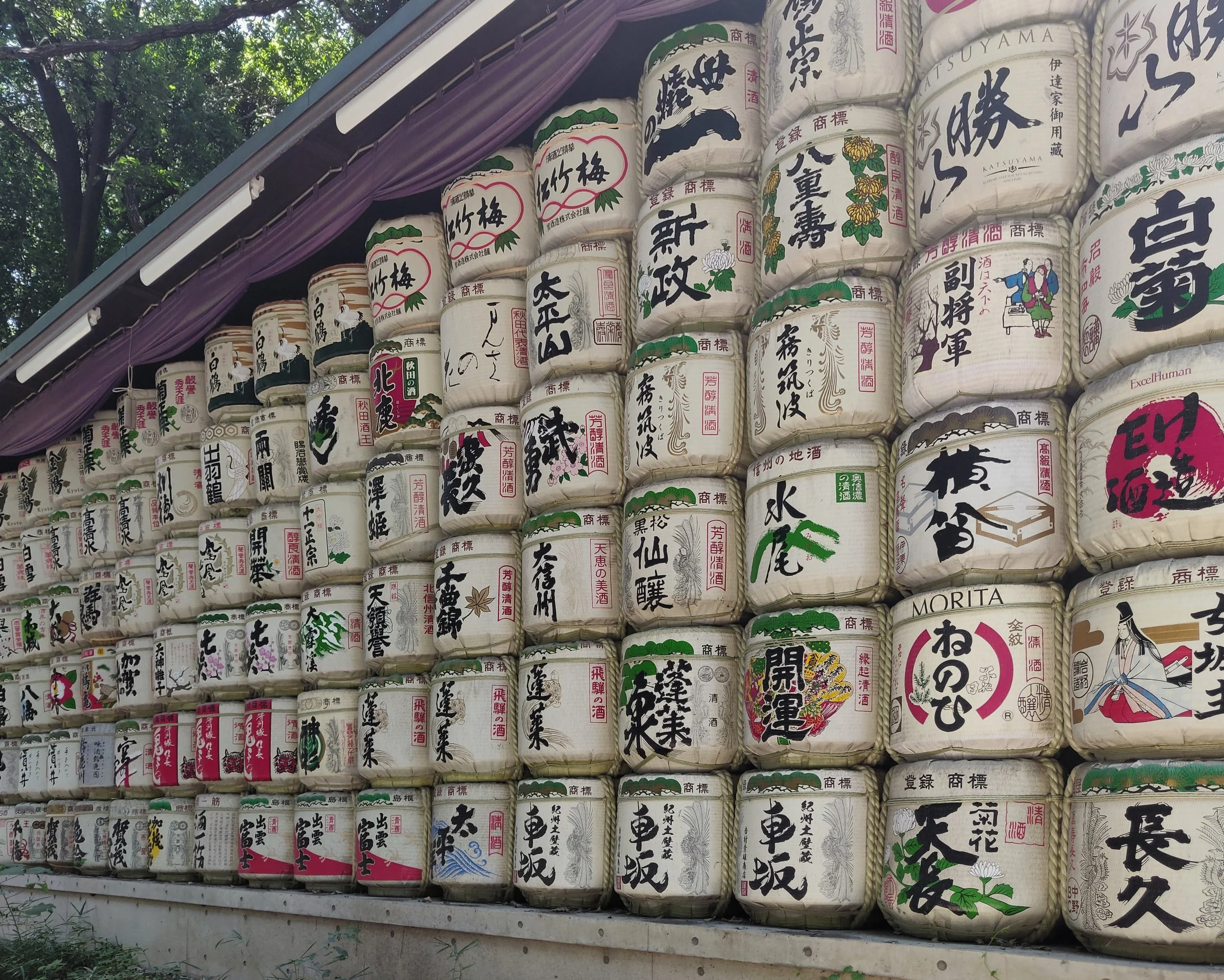 20190811 - 16_DxO.jpg