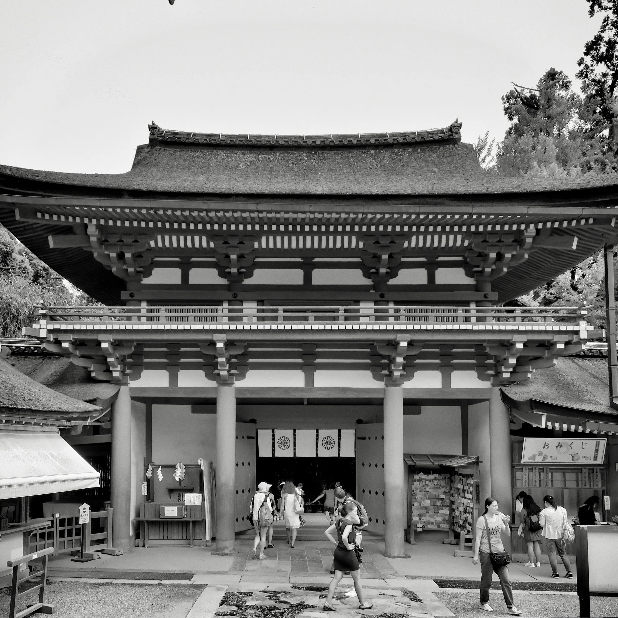 20190716 - 165_Nik_DxO.jpg