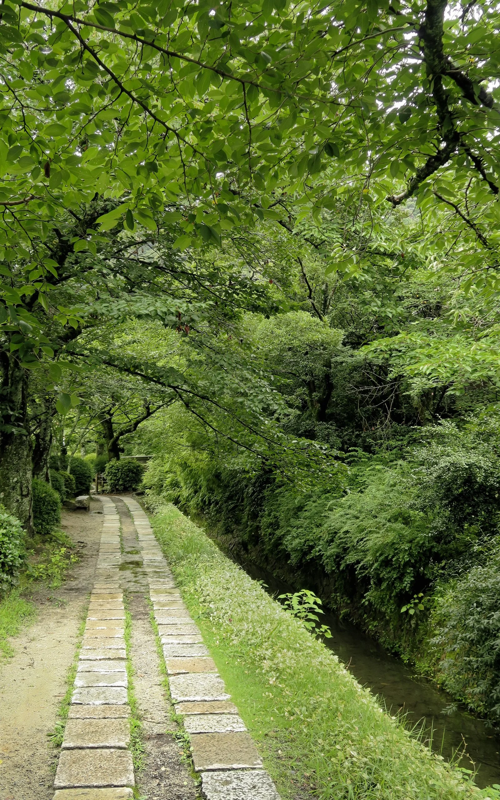 20190719 - 142_DxO.jpg