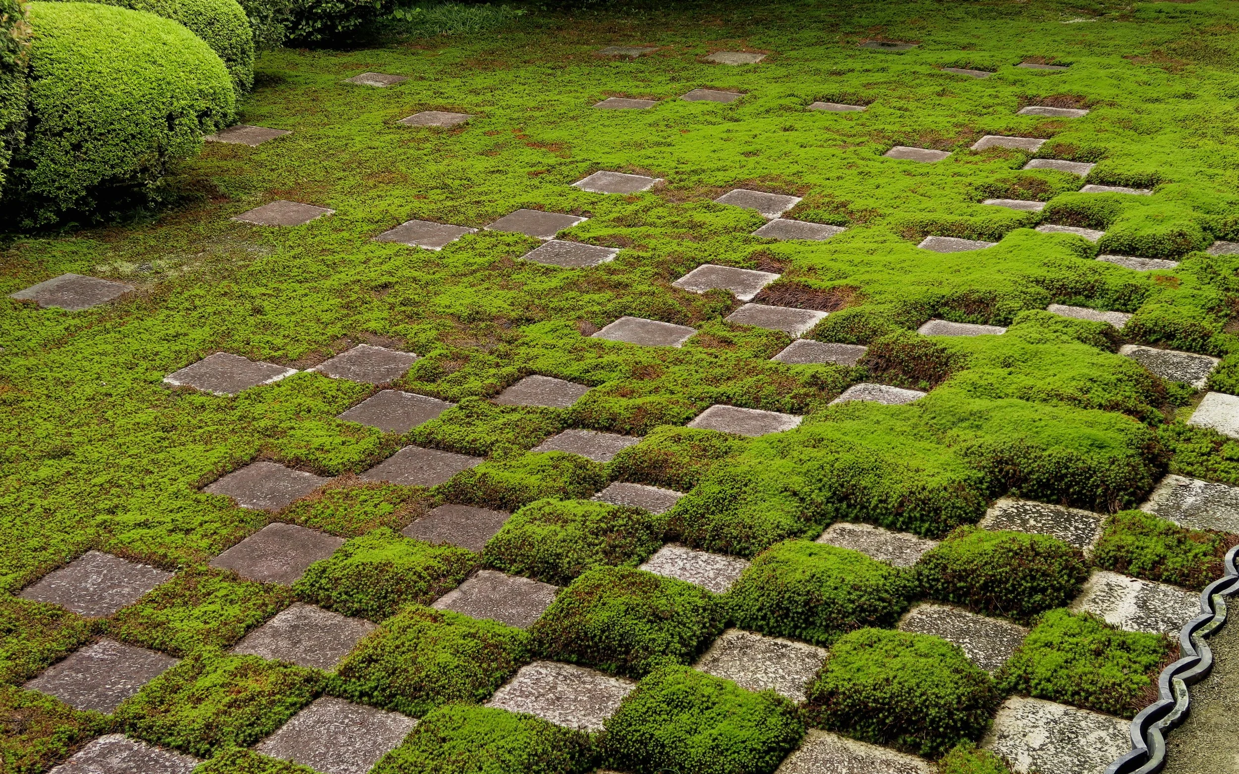 20190720 - 114_DxO.jpg