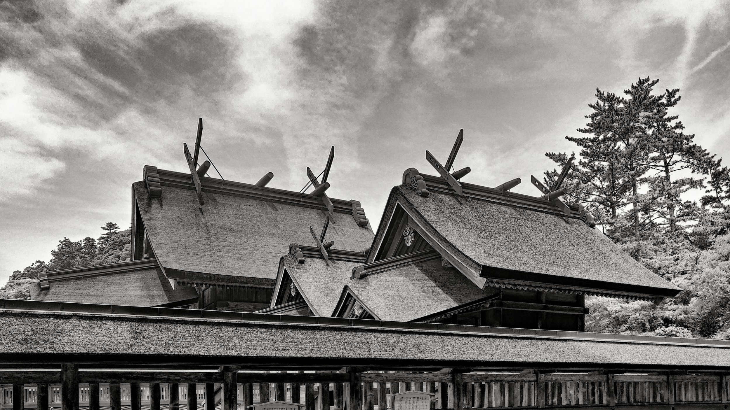 20190729 - 50_Nik_DxO.jpg