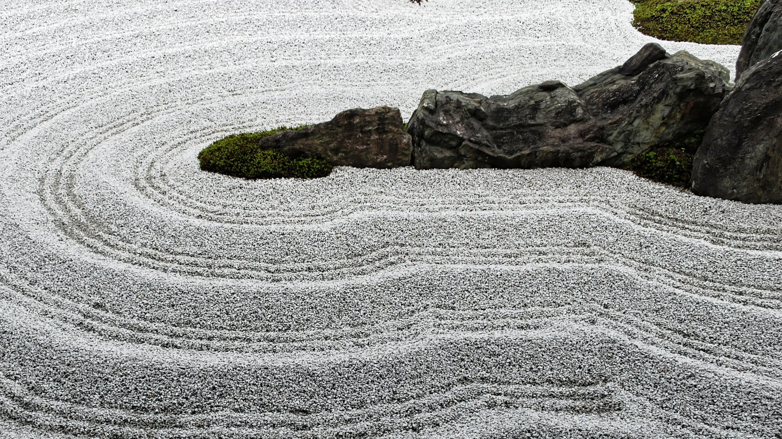 20190718 - 162_DxO.jpg