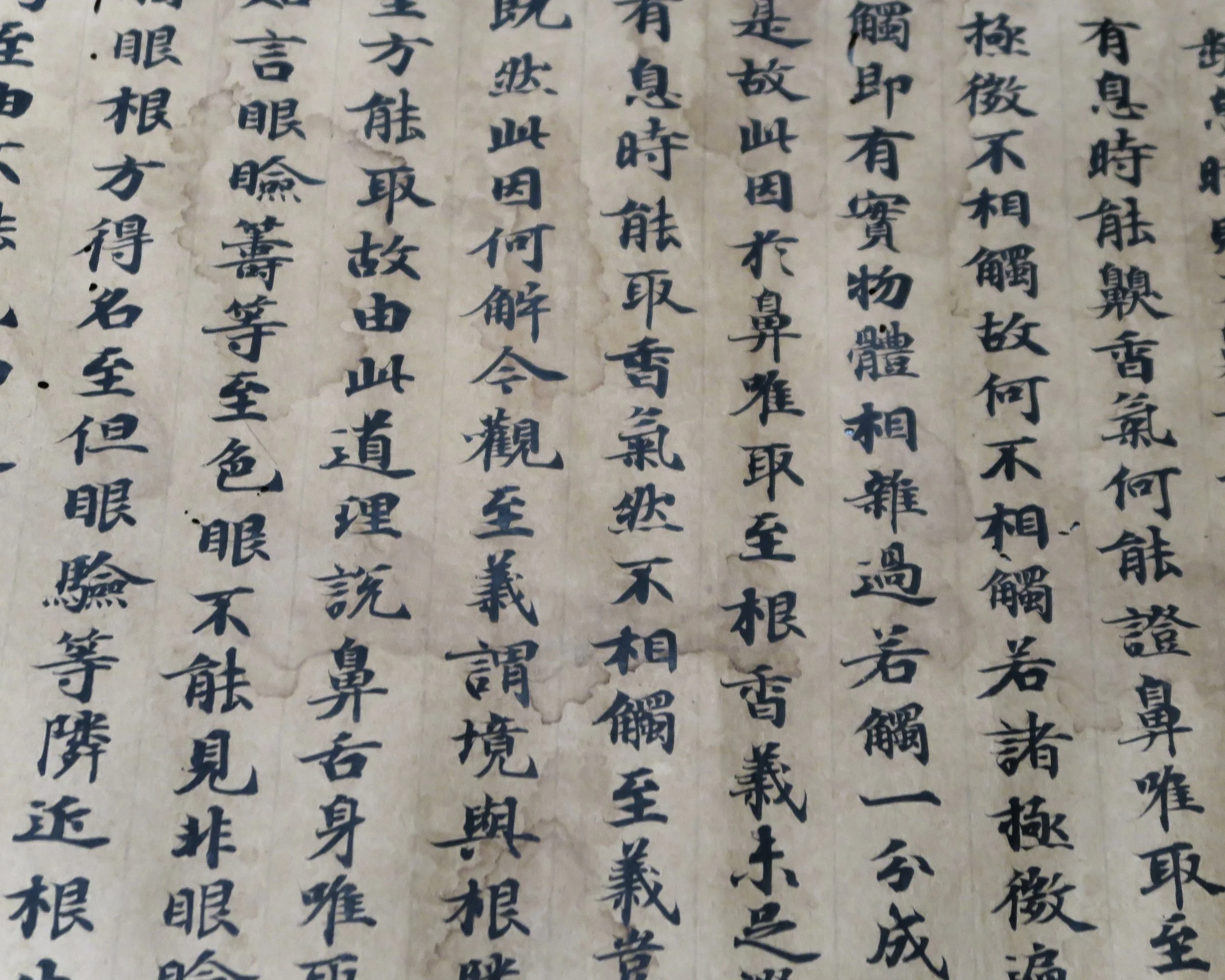 20190808 - 167_DxO.jpg