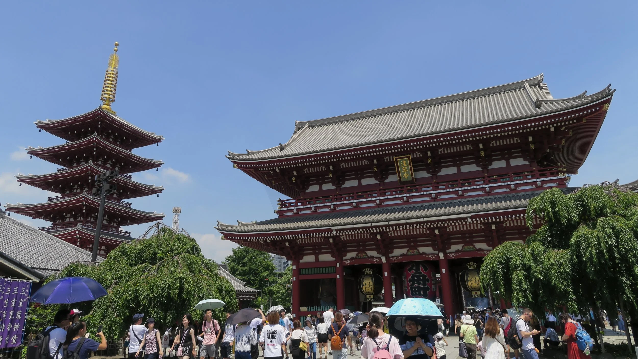 20190808 - 132_DxO.jpg