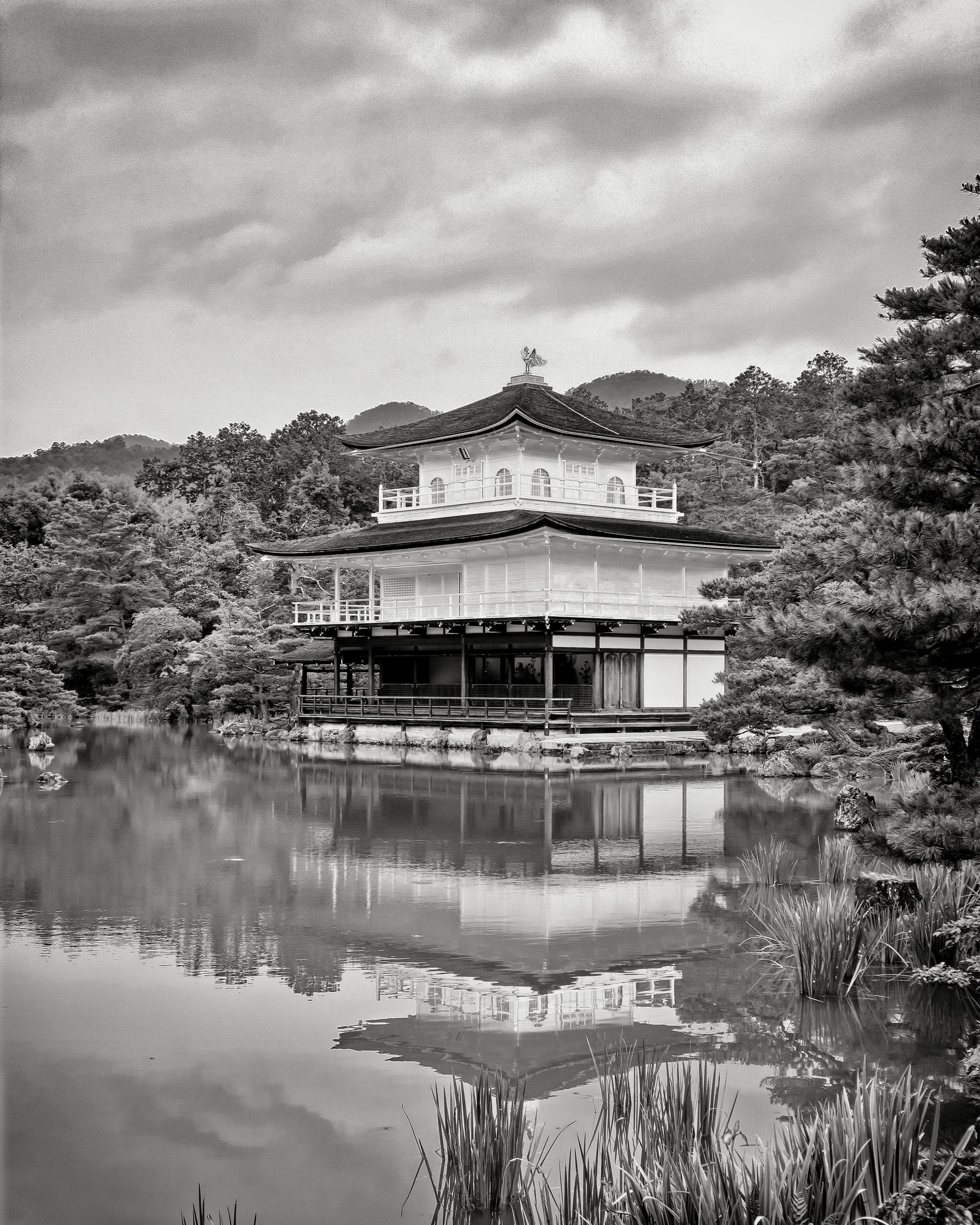 20190718 - 246_Nik_DxO.jpg