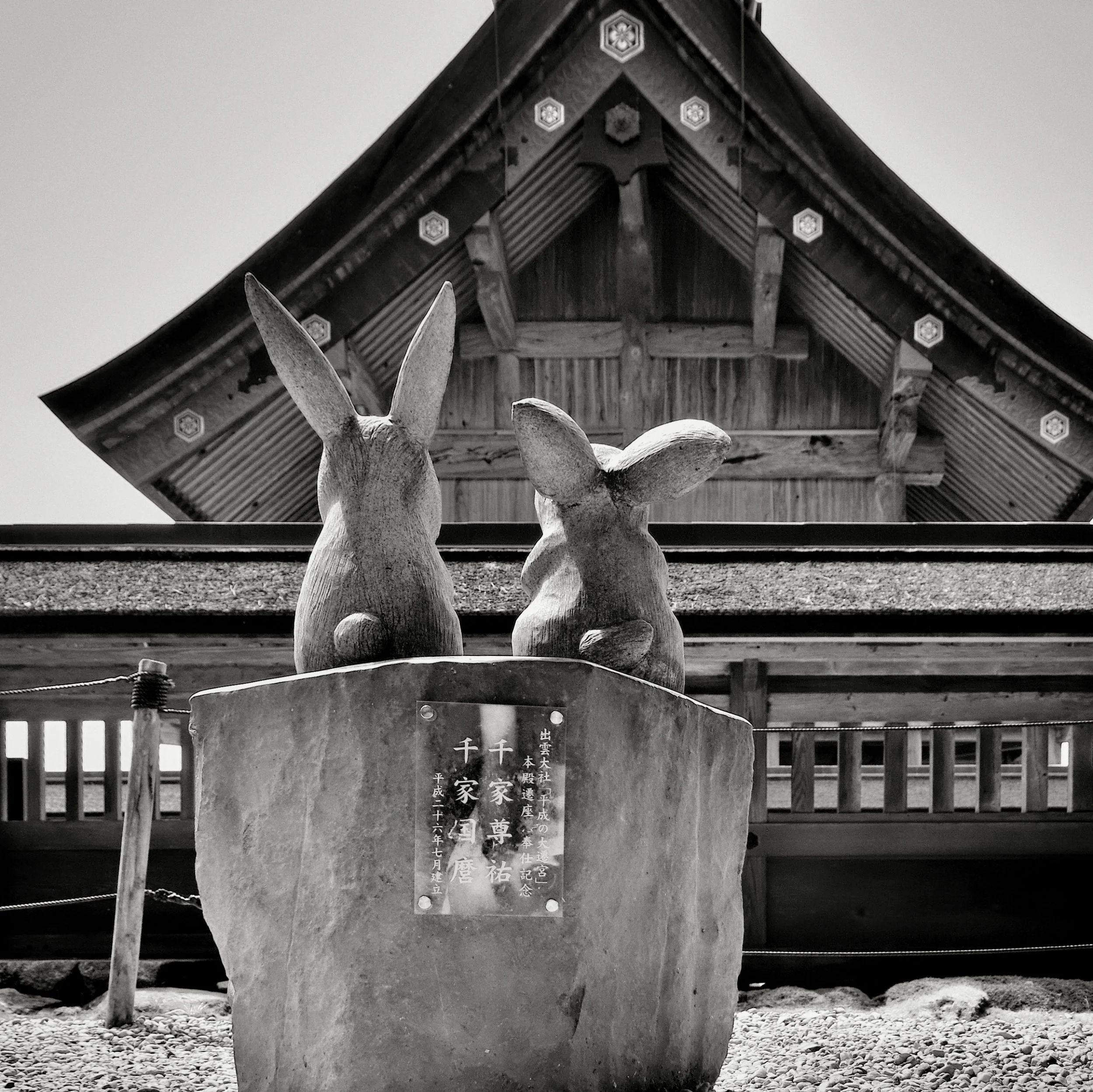 20190729 - 71_Nik_DxO.jpg