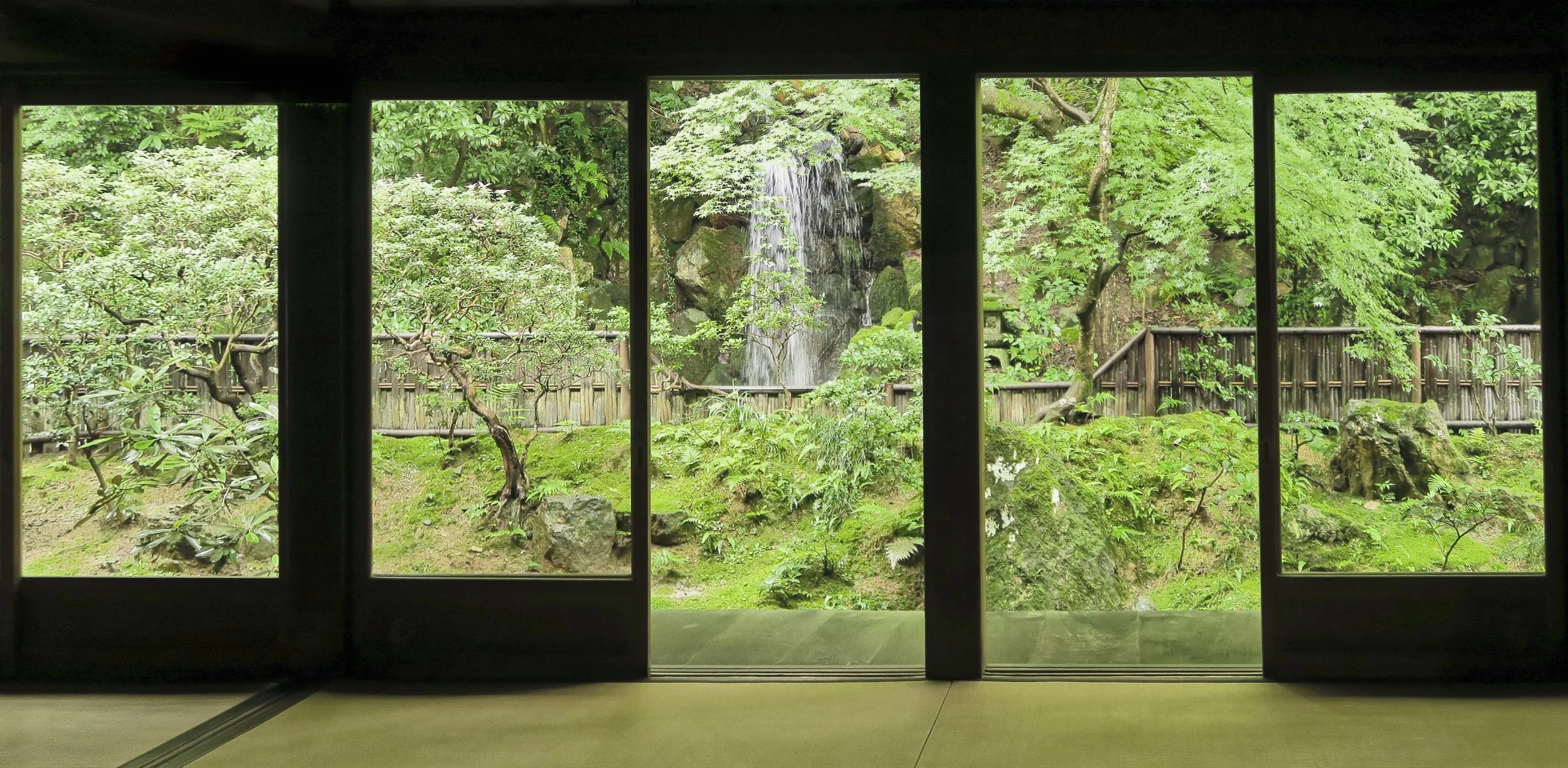 20190719 - 334_DxO.jpg