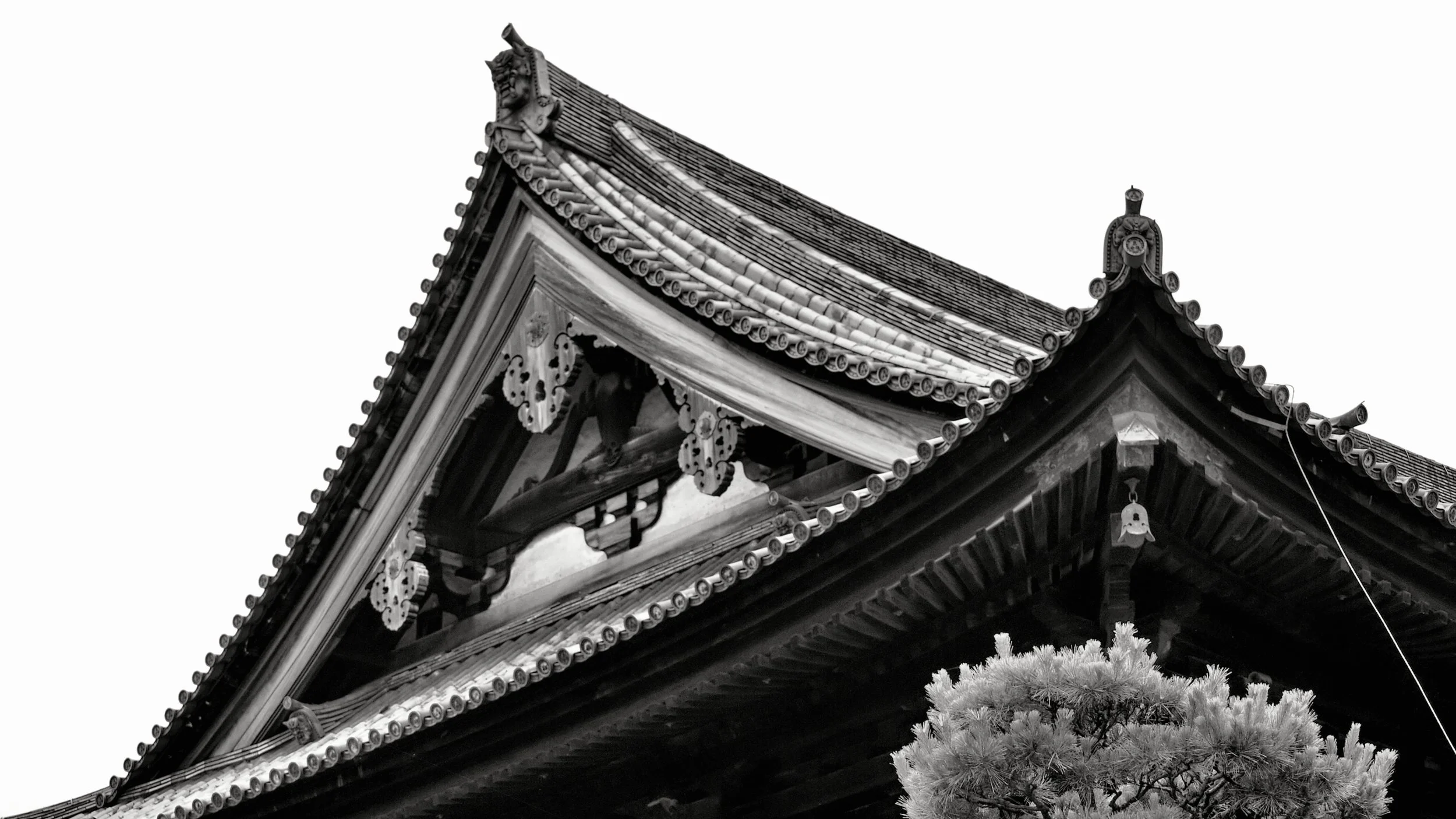 20190720 - 63_Nik_DxO.jpg