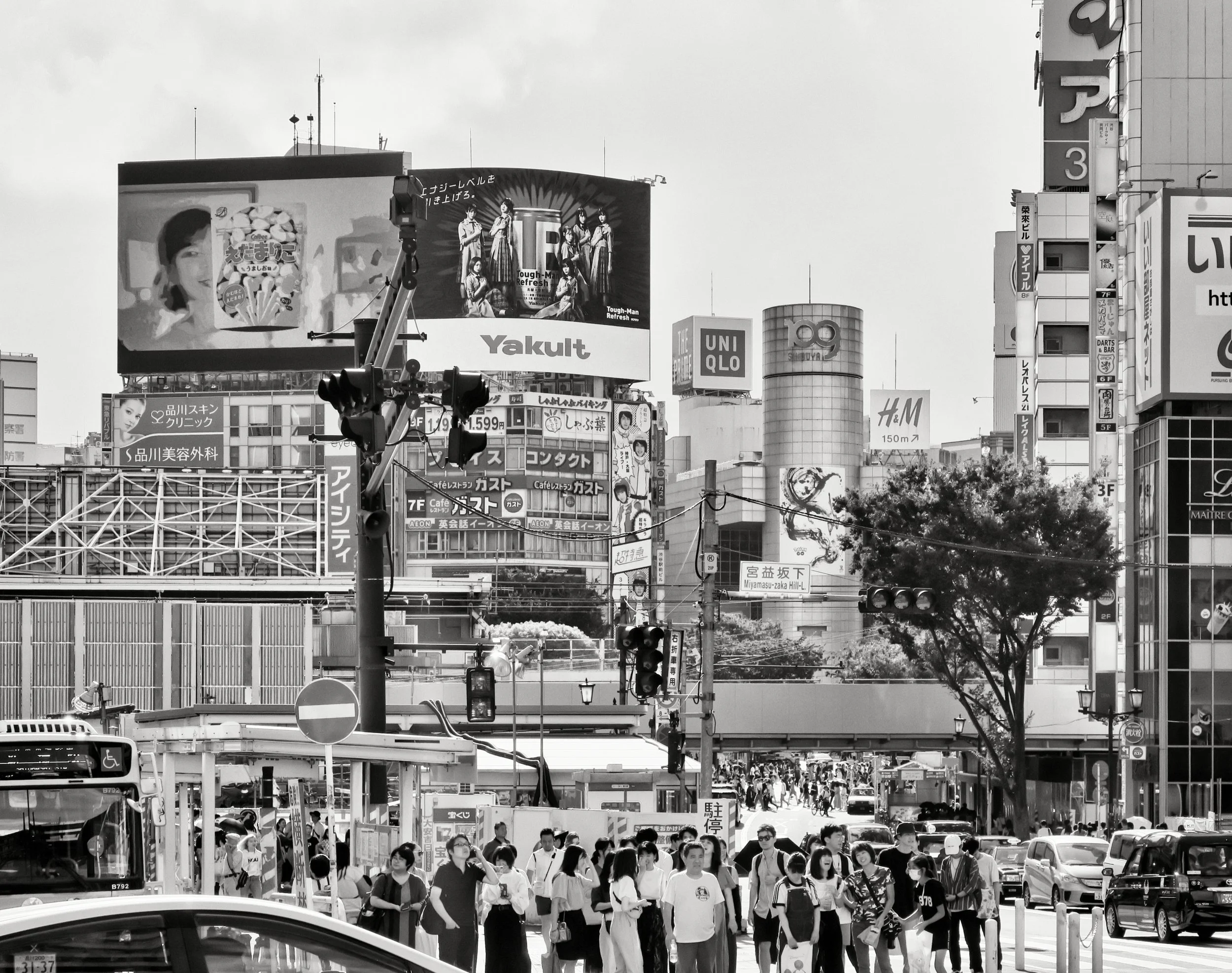 20190811 - 112_Nik_DxO.jpg