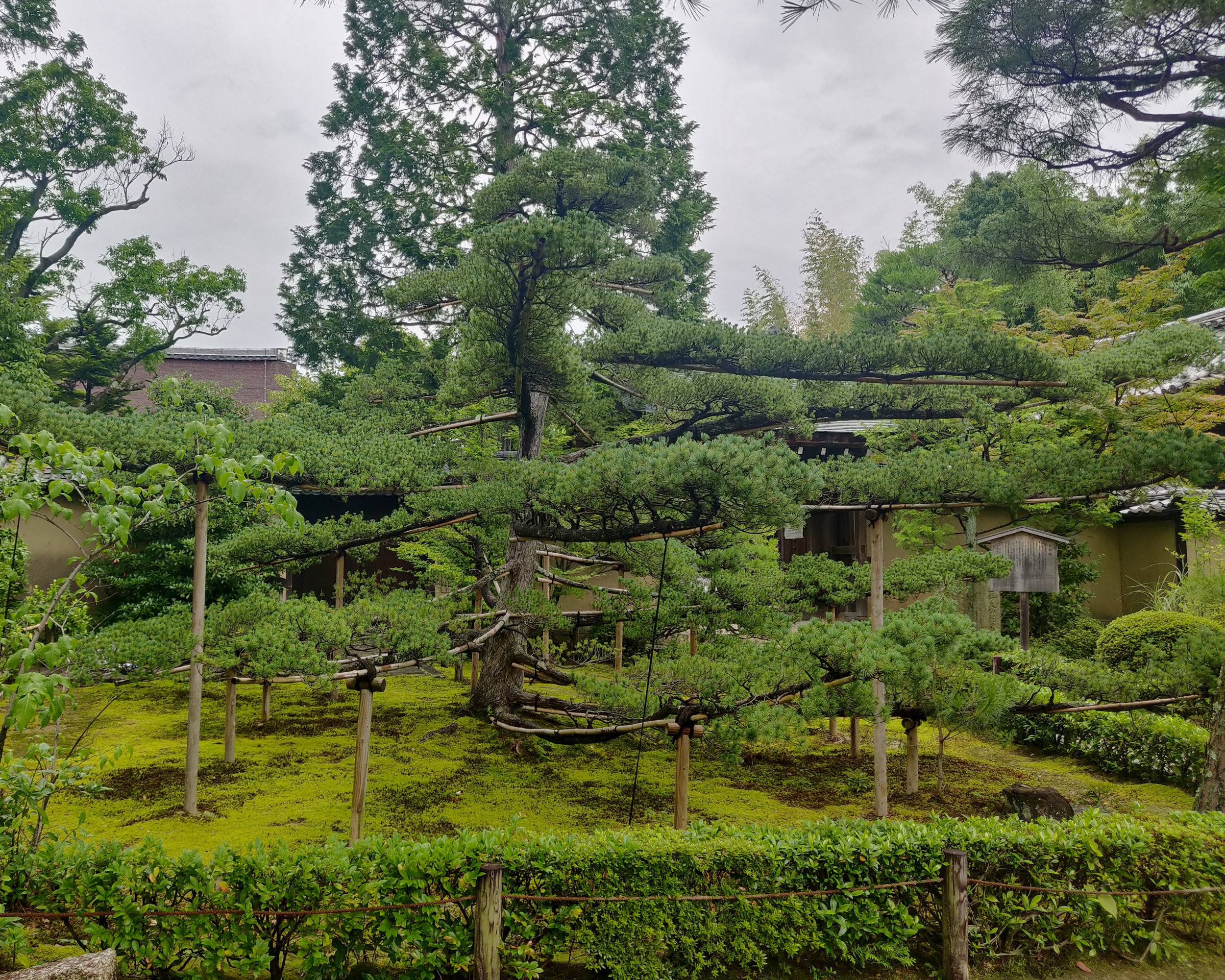 20190718 - 11_DxO.jpg