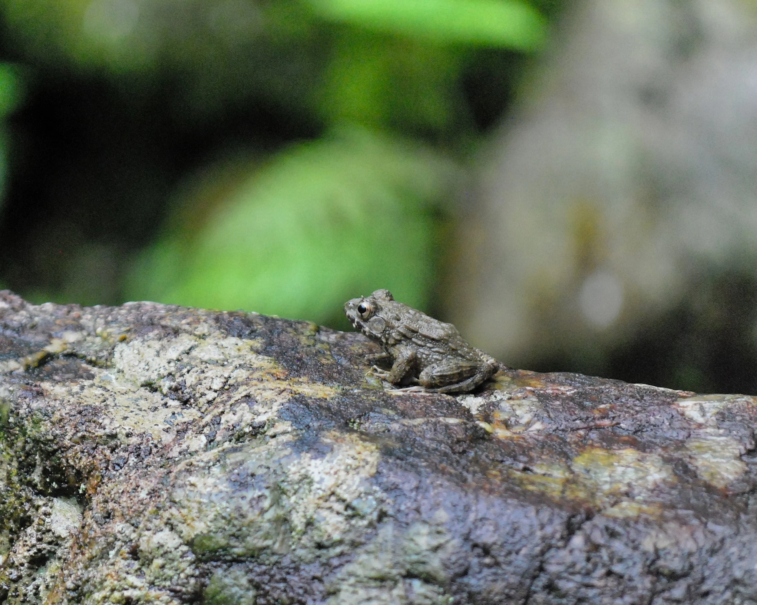 20190719 - 227_DxO.jpg