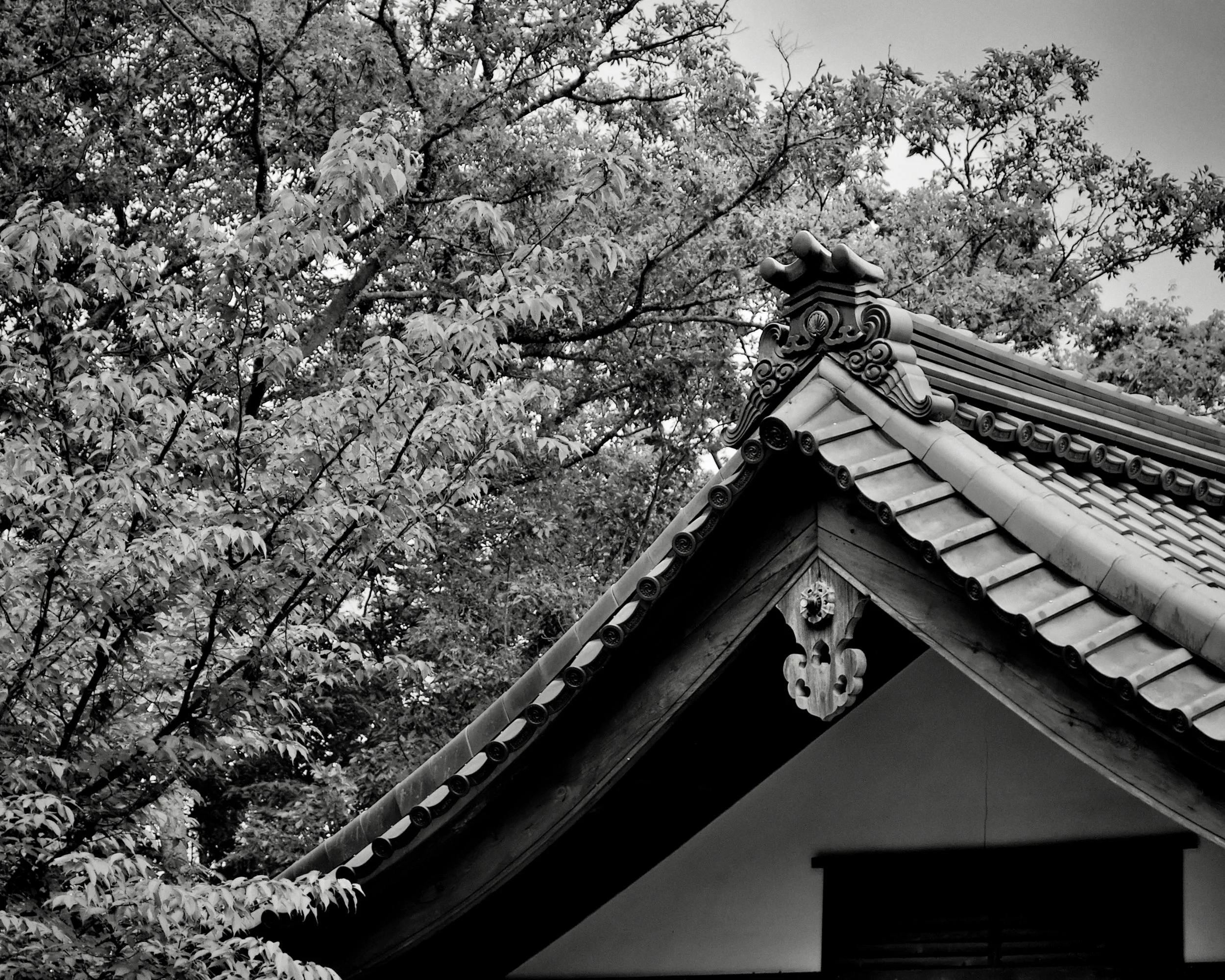 20190715 - 58_Nik_DxO.jpg