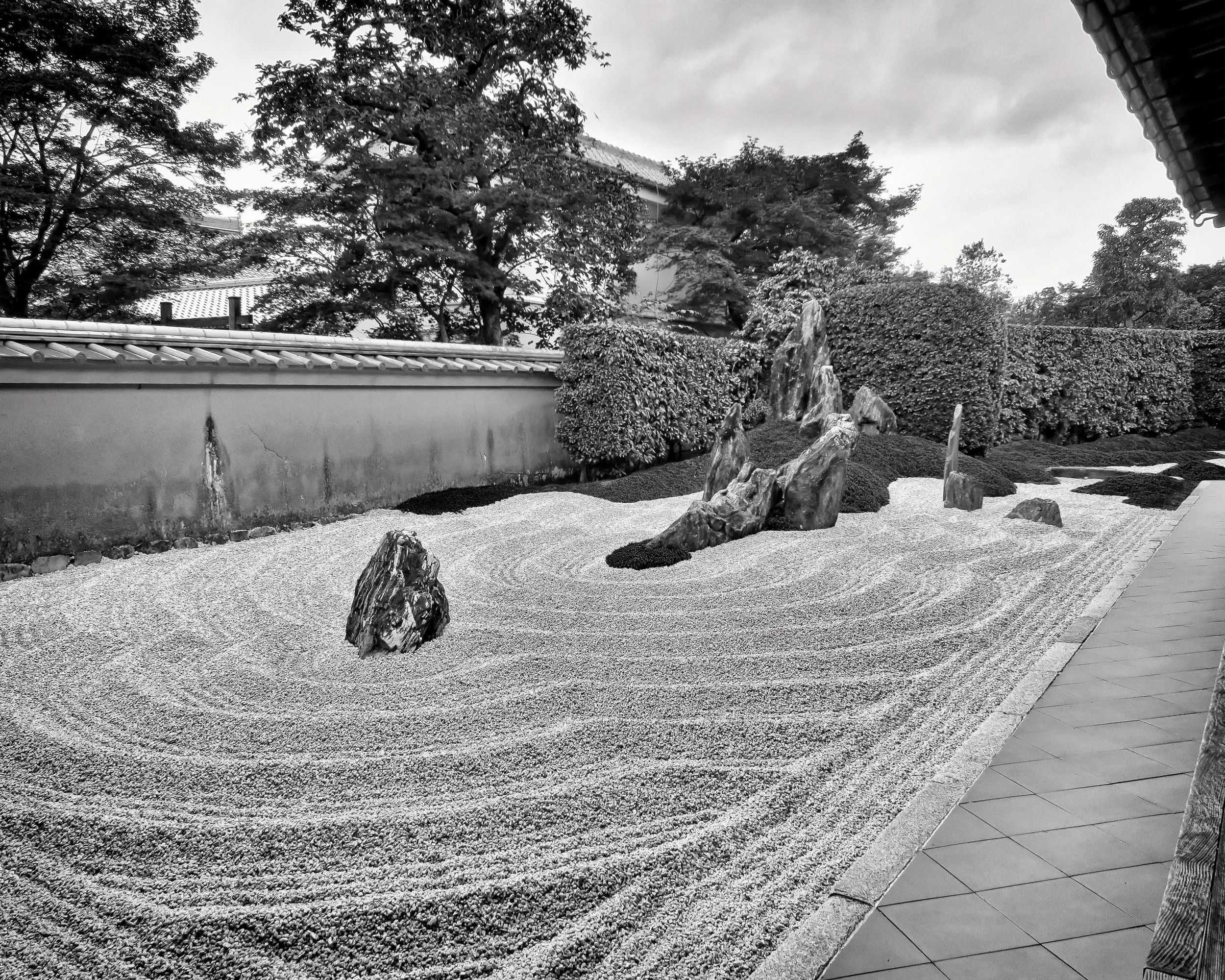 20190718 - 108_Nik_DxO.jpg