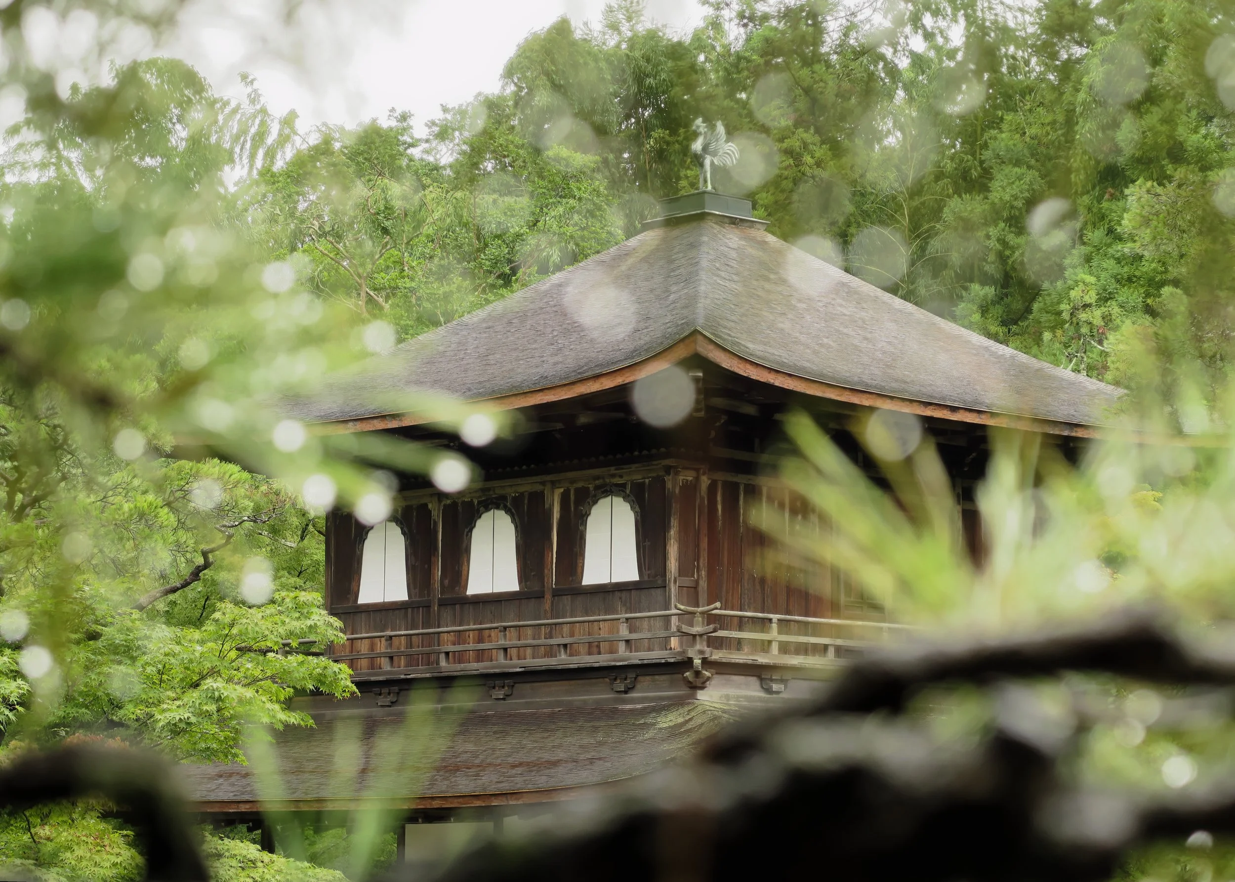 Higashiyama / 東山