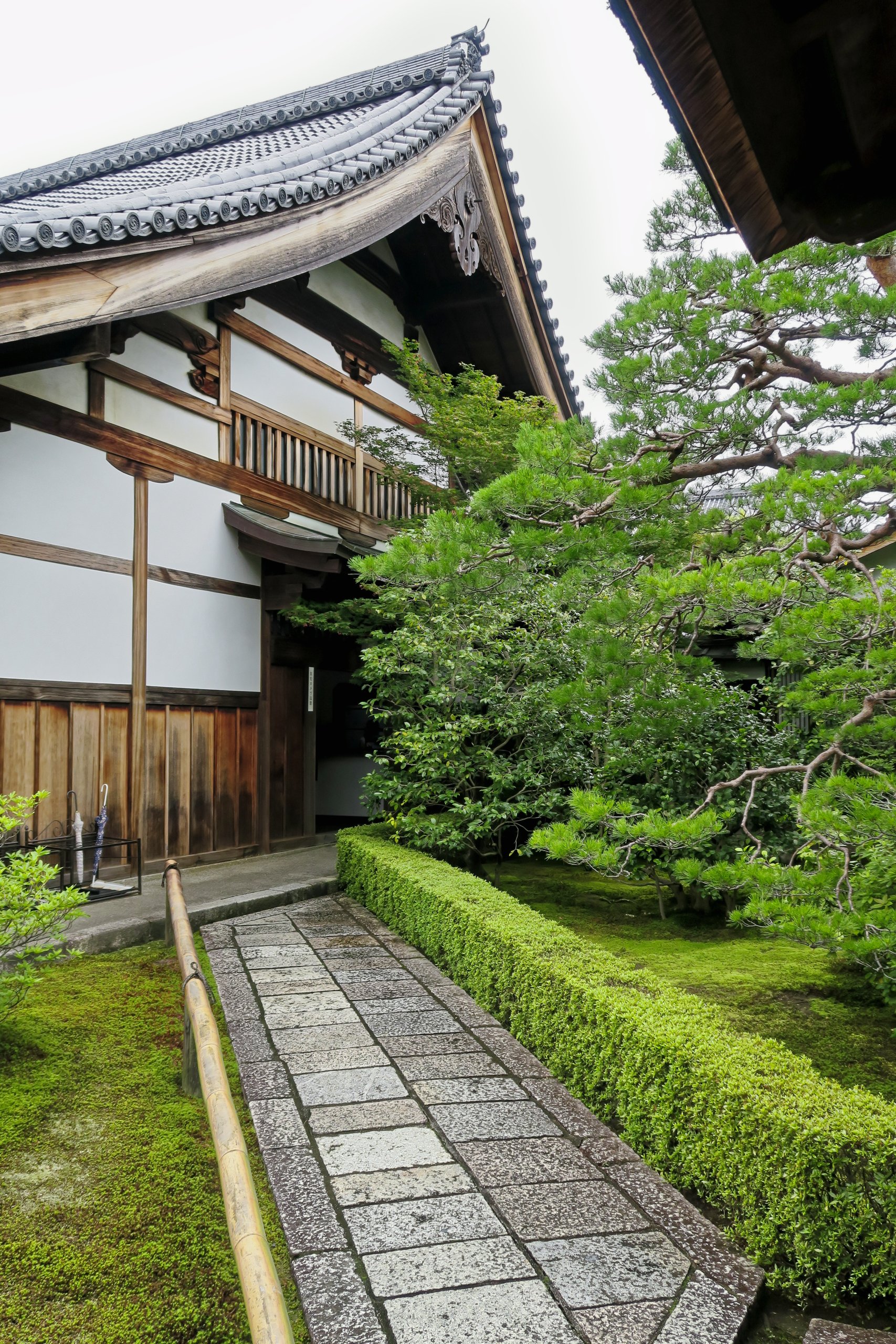 20190718 - 22_DxO.jpg