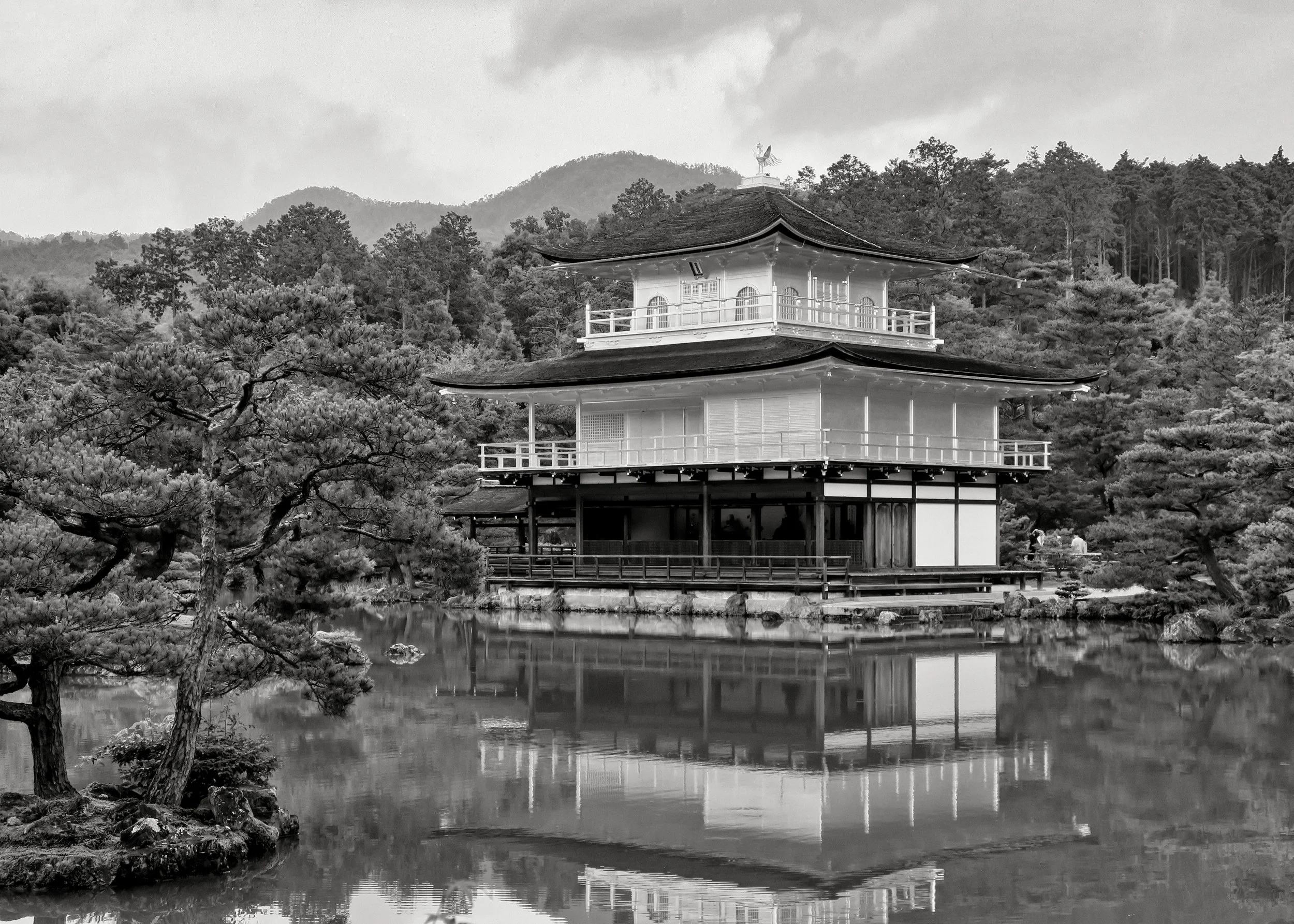 20190718 - 198_Nik_DxO.jpg