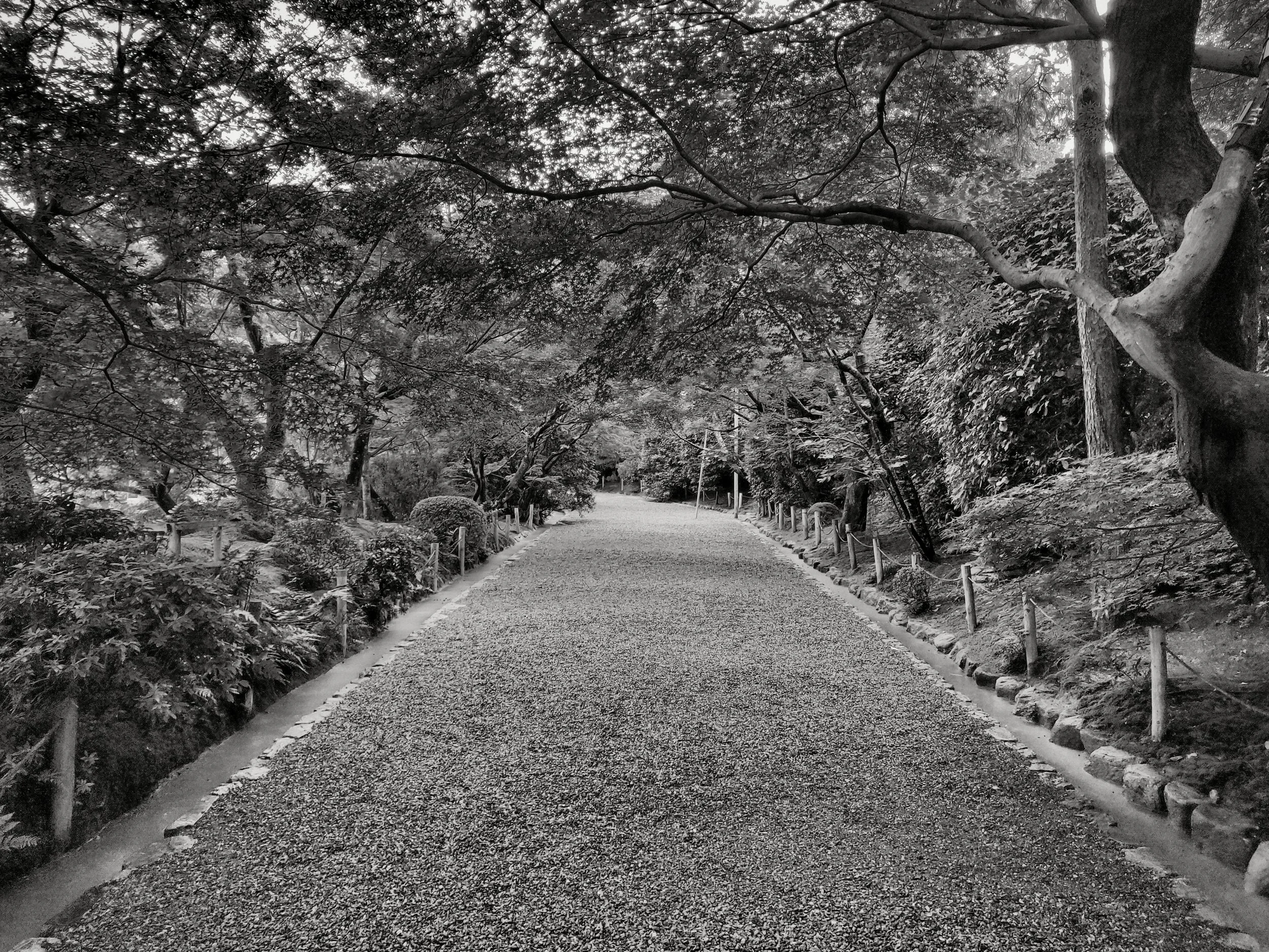 20190718 - 280_Nik_DxO.jpg