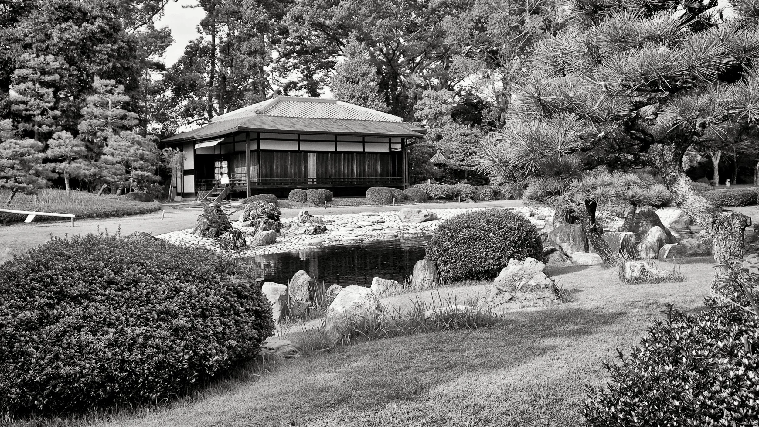 20190717 - 232_Nik_DxO.jpg