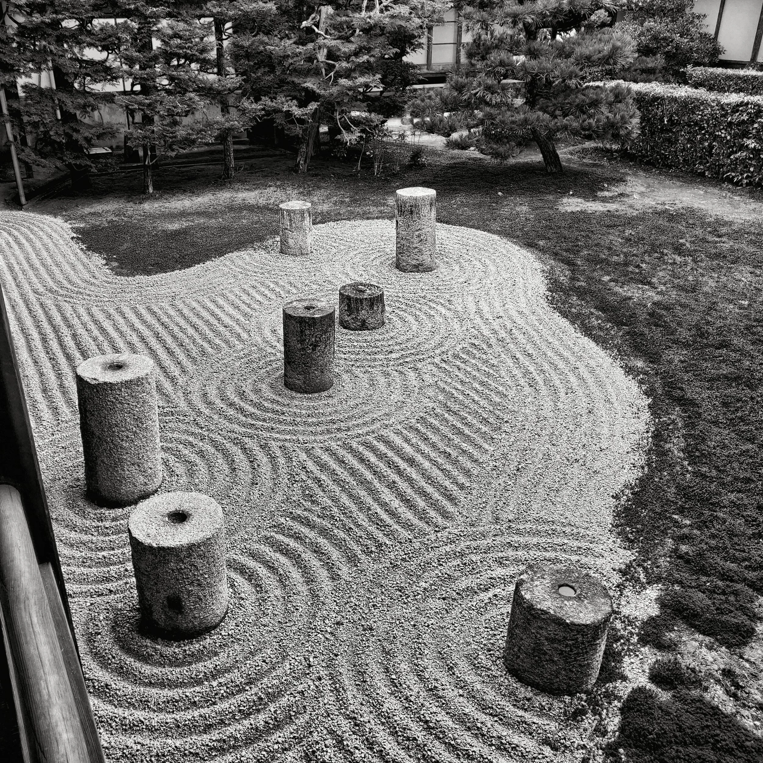 20190720 - 70_Nik_DxO.jpg