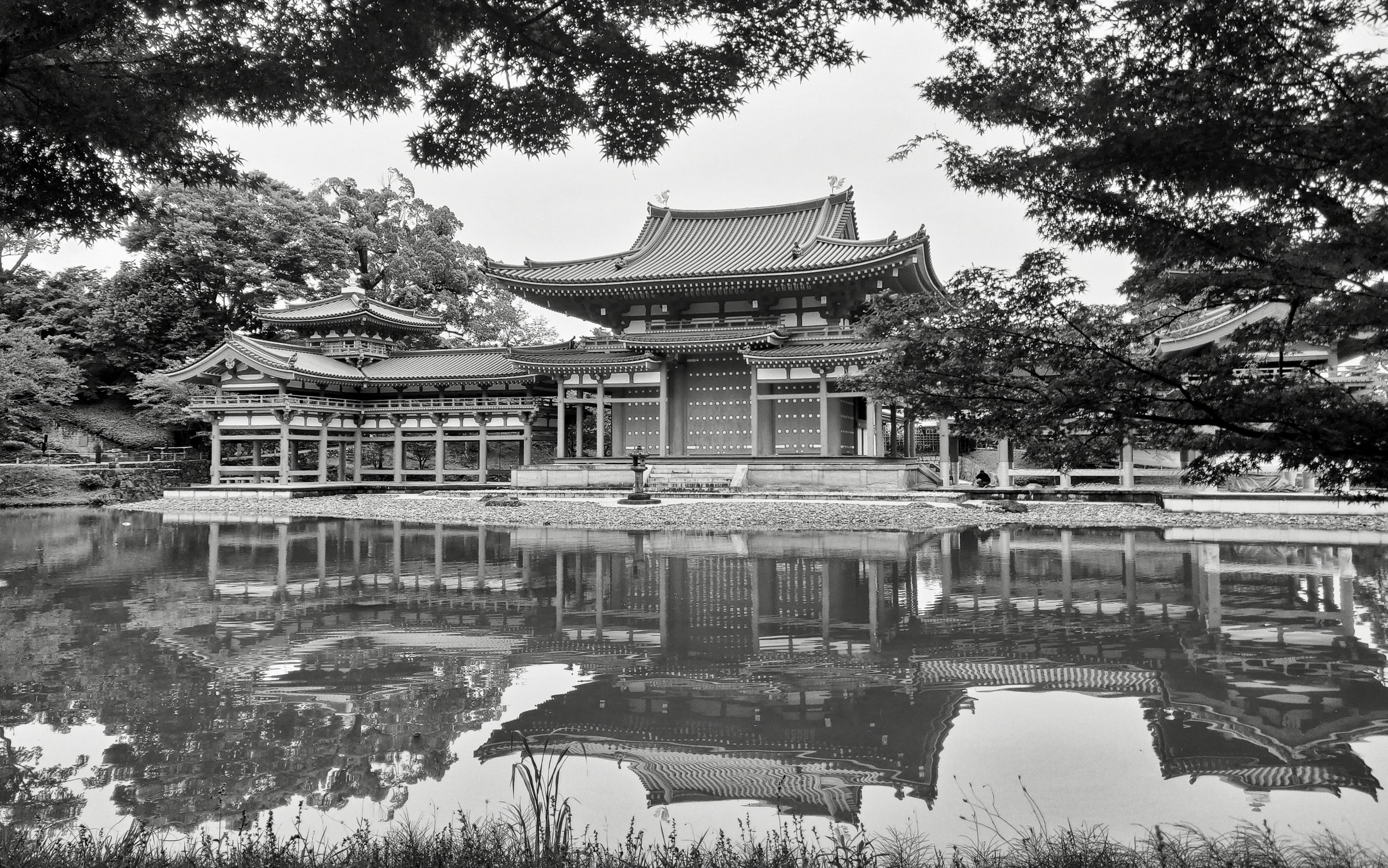 20190720 - 188_Nik_DxO.jpg