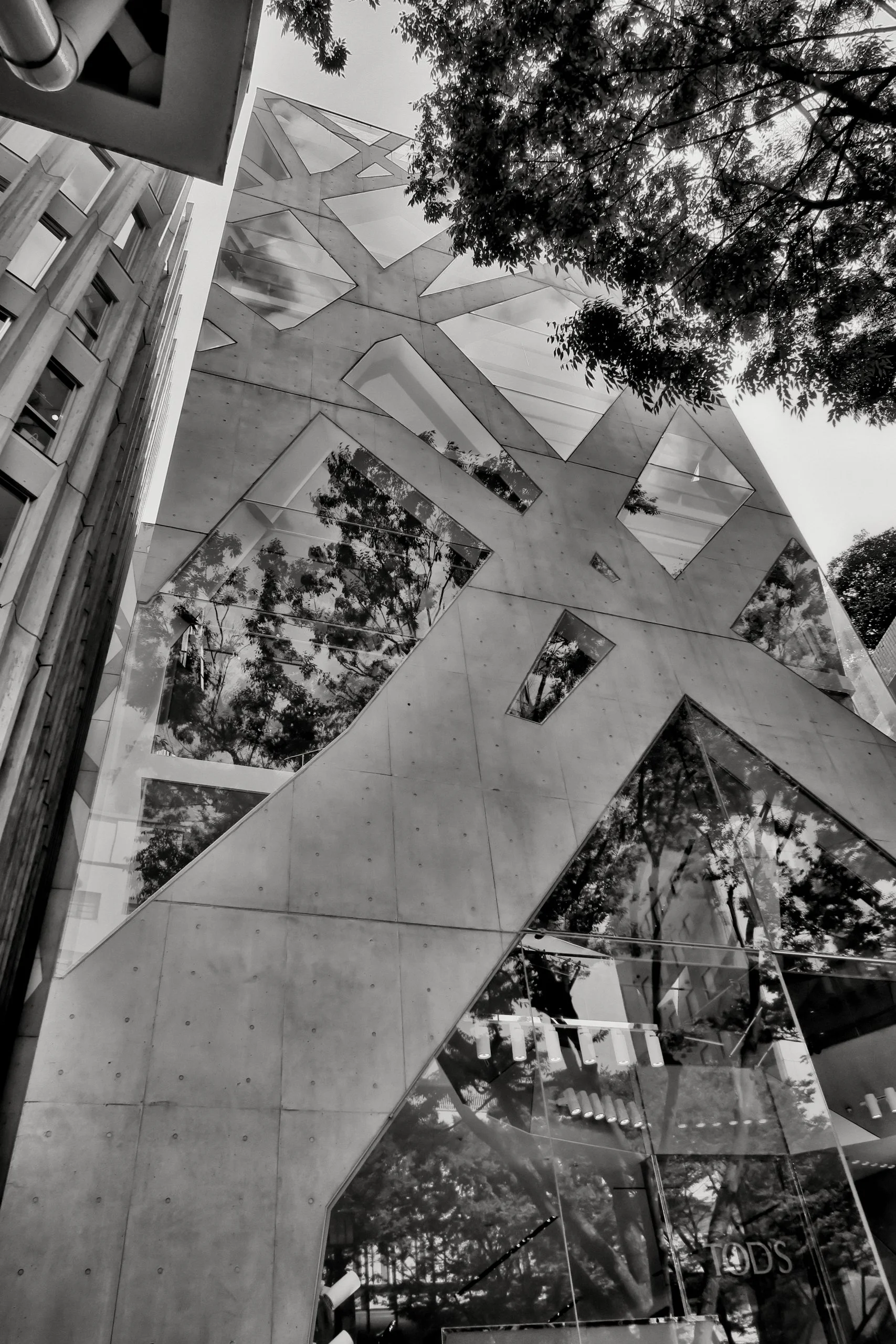 20190811 - 83_Nik_DxO.jpg