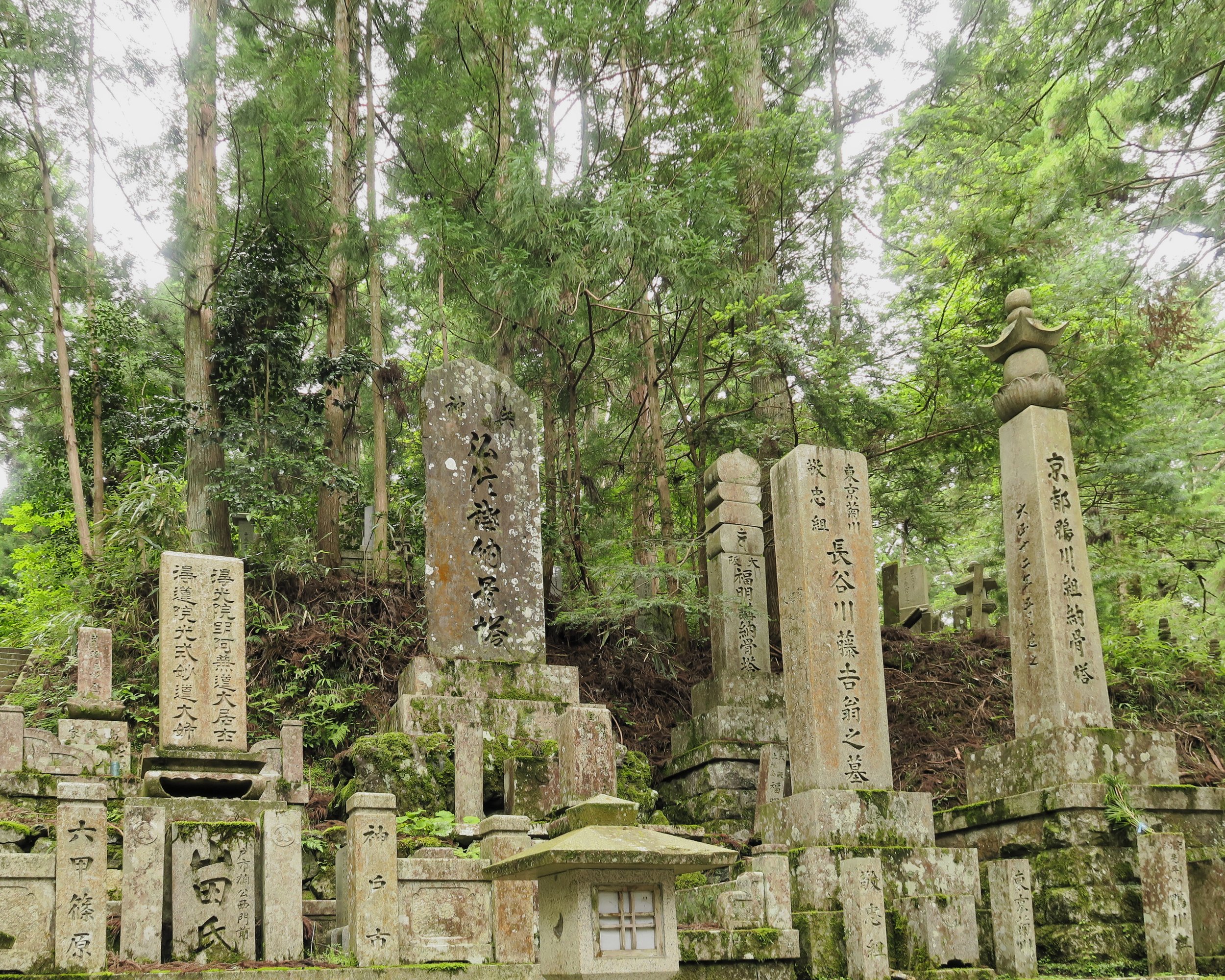 20190722 - 165_DxO.jpg