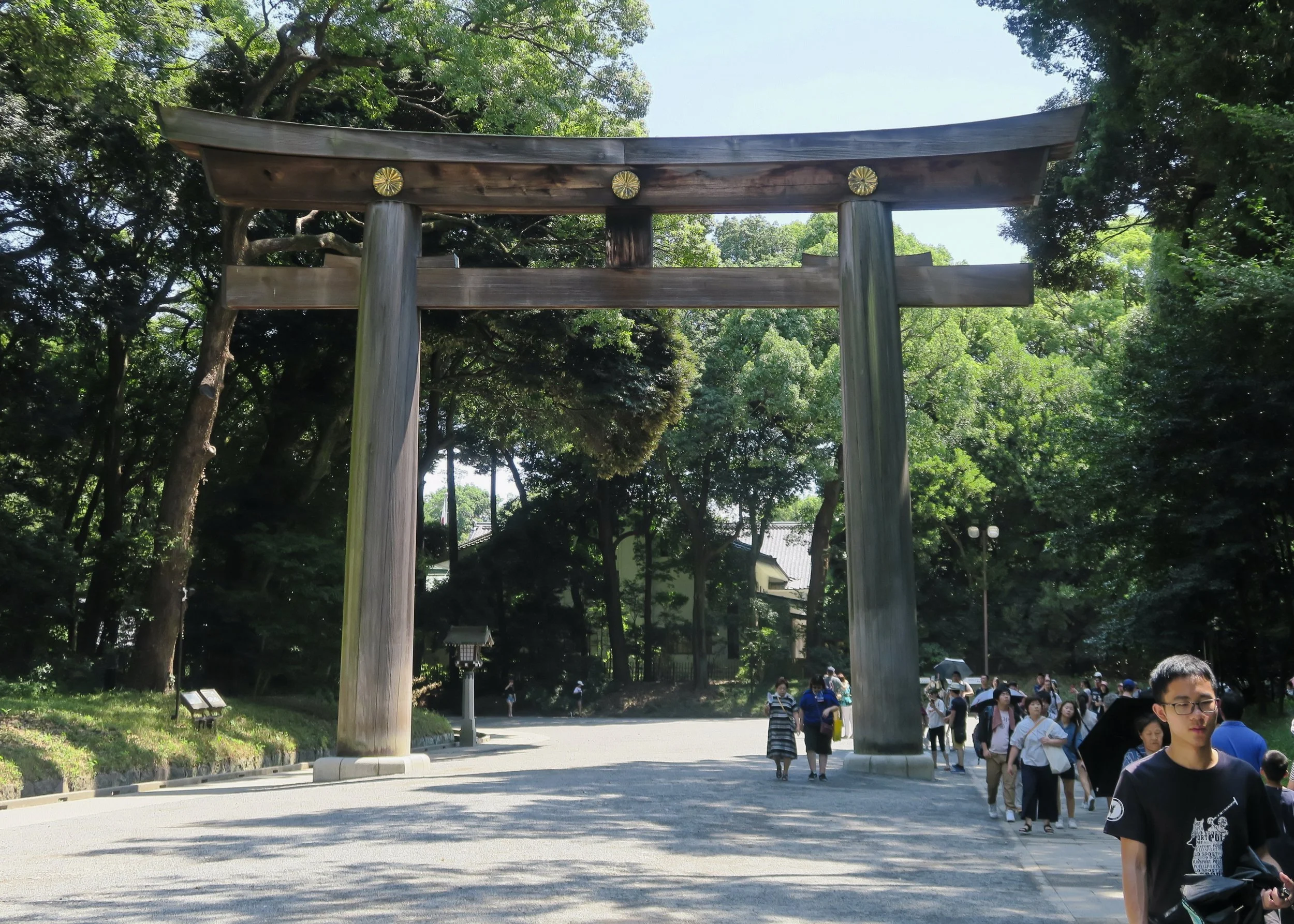 20190811 - 11_DxO.jpg