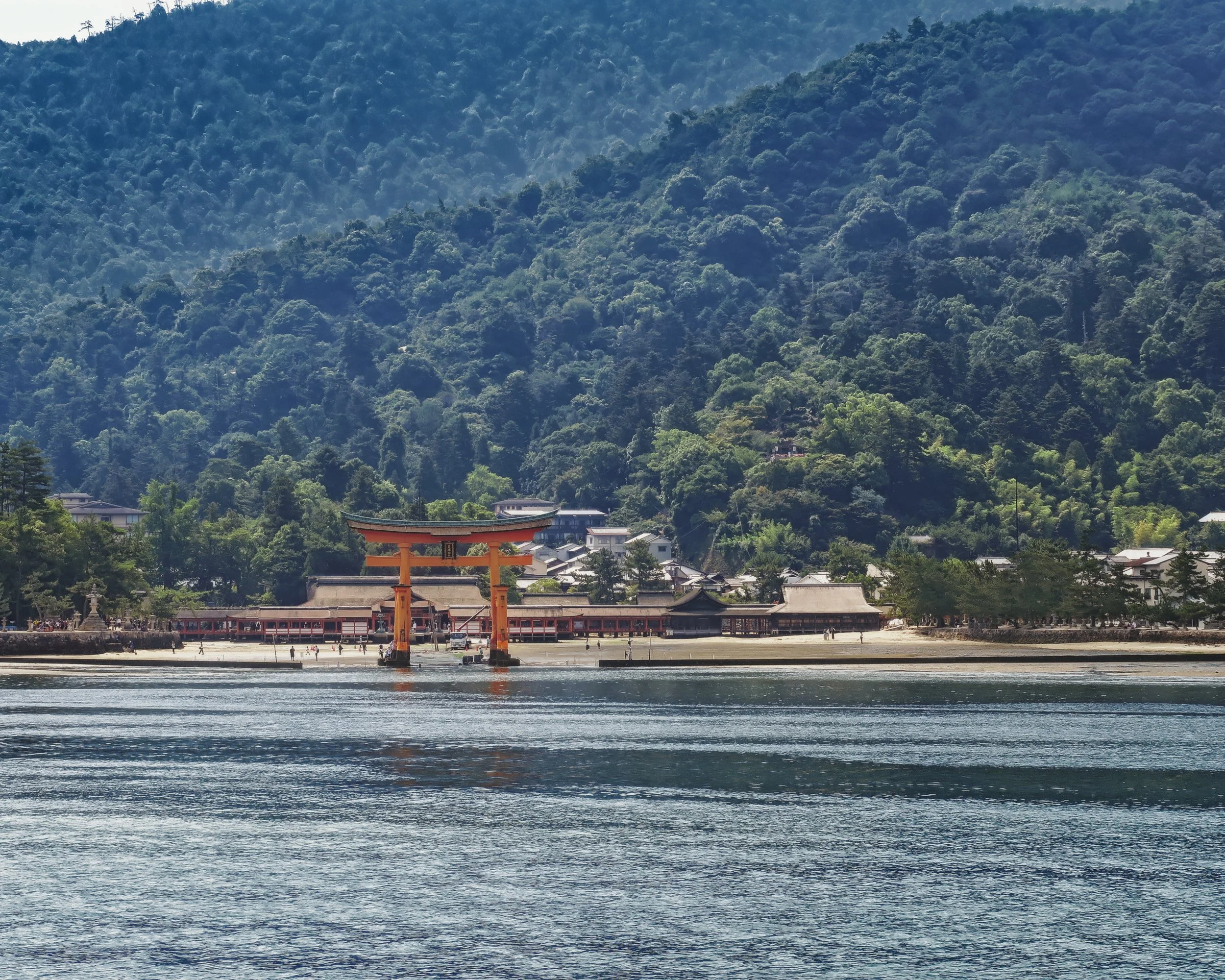 20190726 - 7_Nik-CEP_DxO.jpg