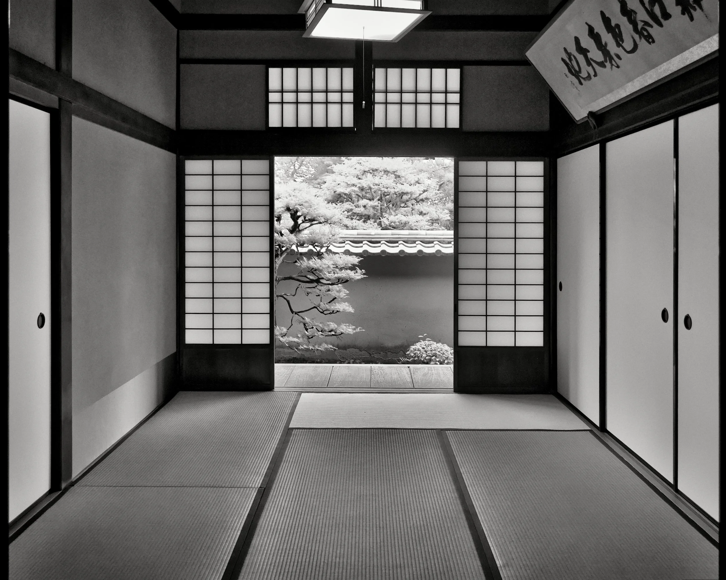 20190718 - 27_Nik_DxO.jpg