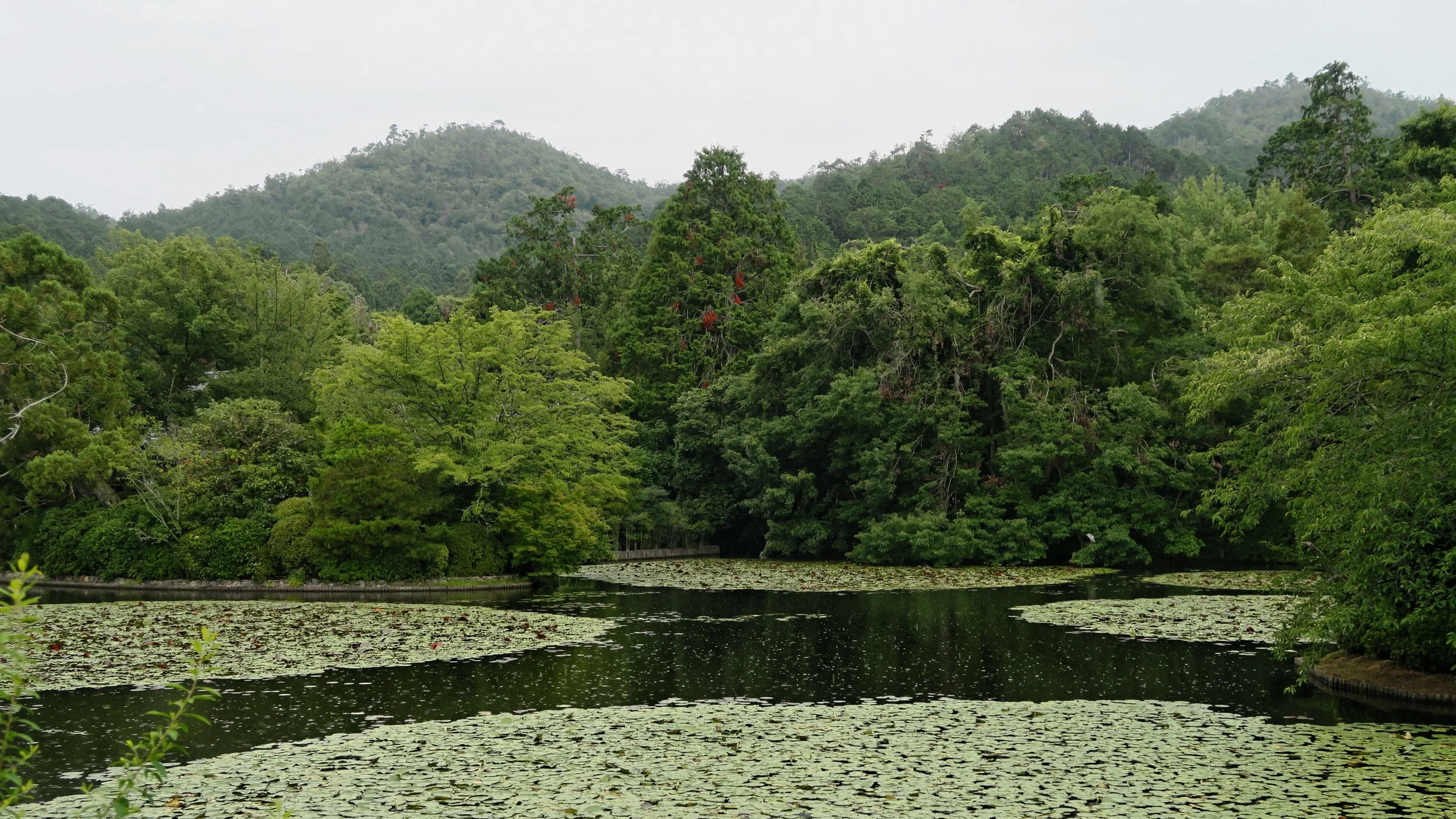 20190718 - 276_DxO.jpg