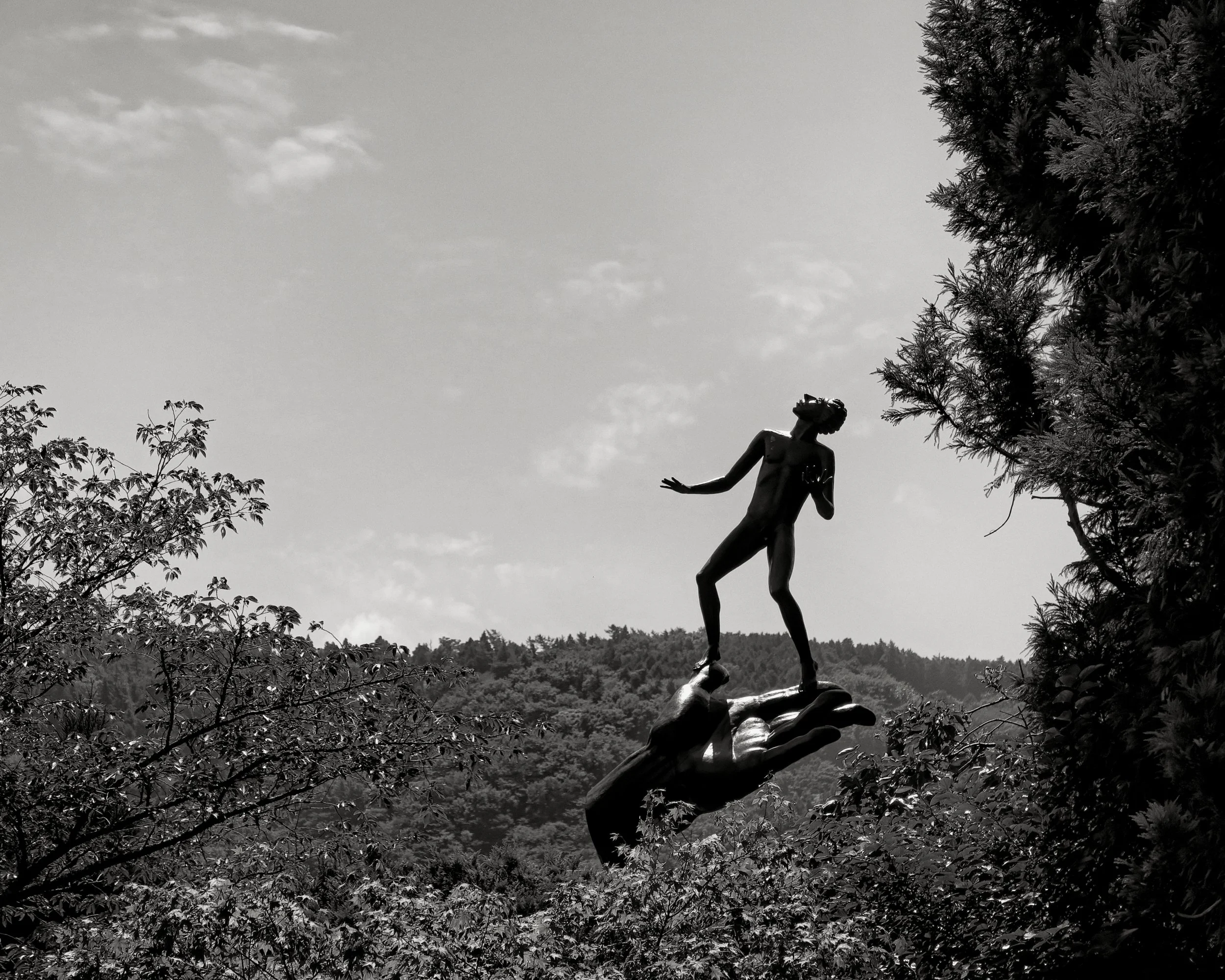 20190805 - 152_Nik_Version_1_DxO.jpg