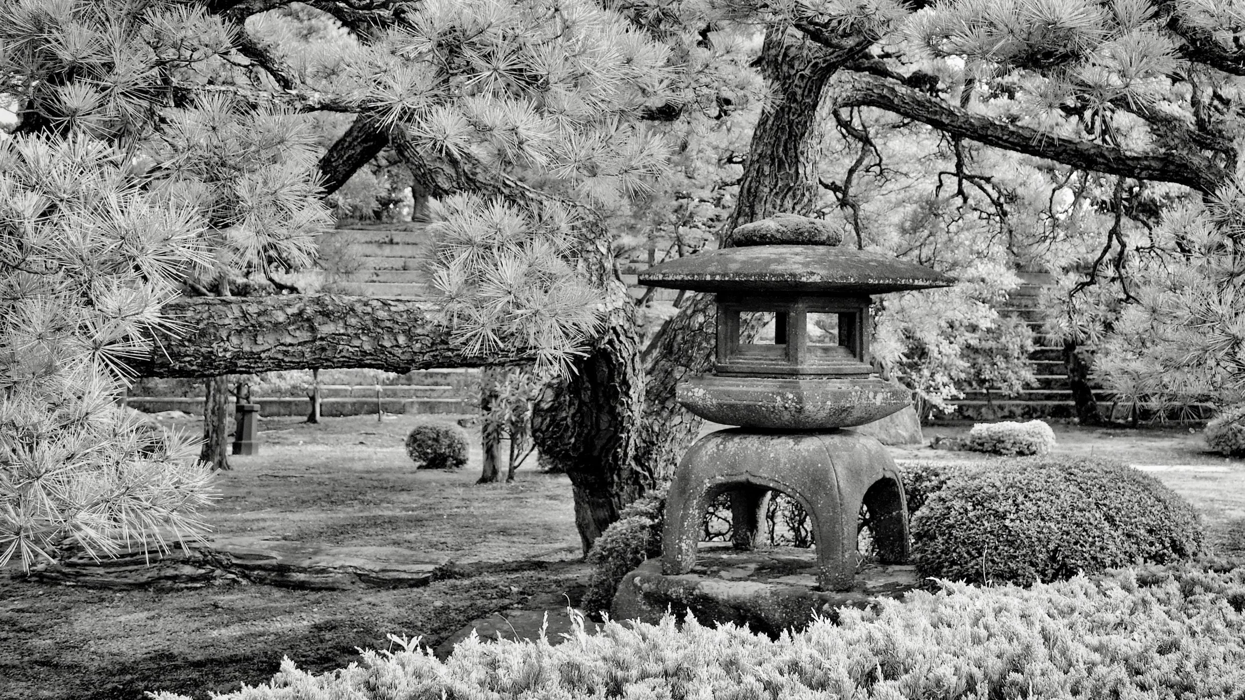 20190717 - 220_Nik_DxO.jpg