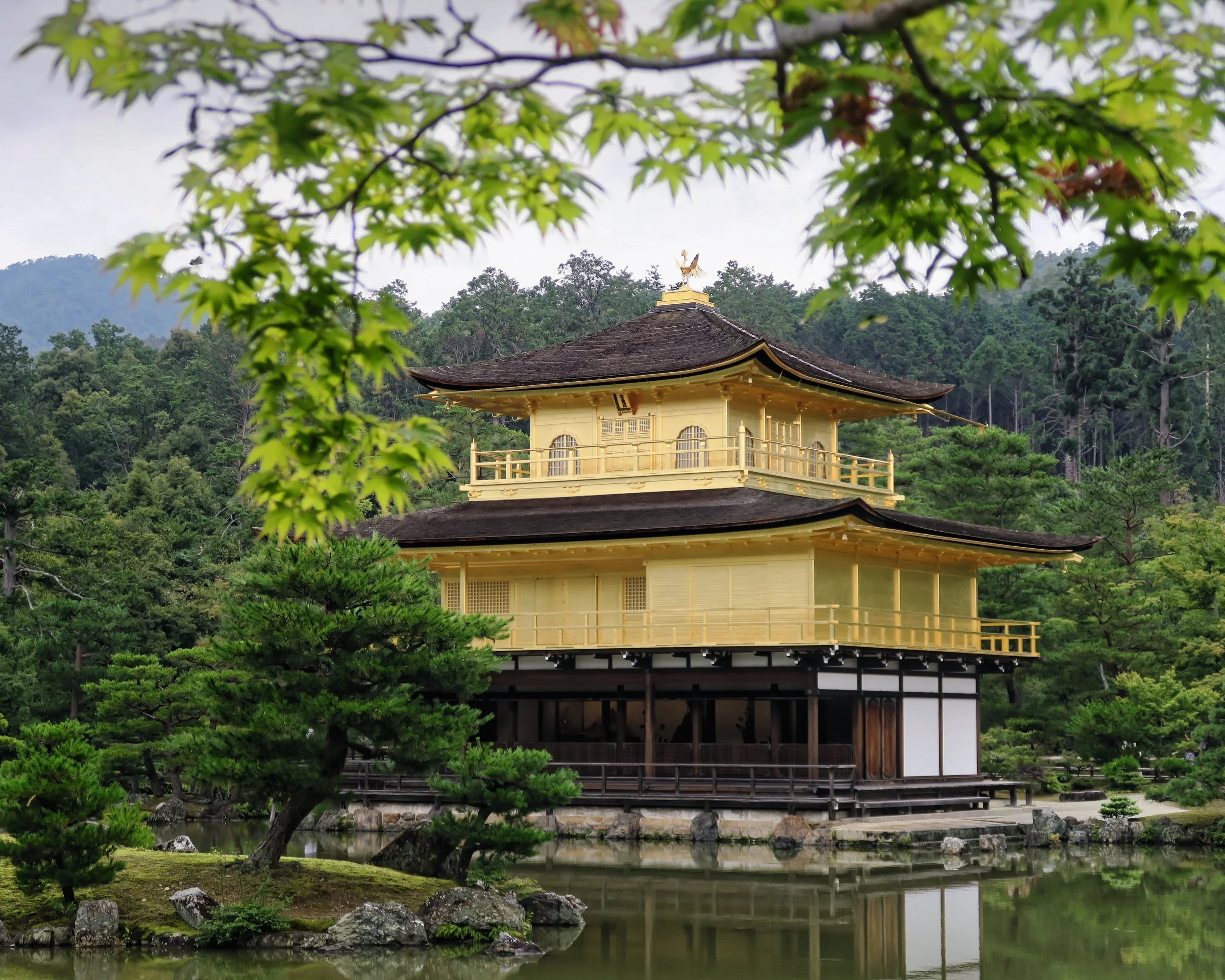 20190718 - 217_Nik-CEP_DxO.jpg